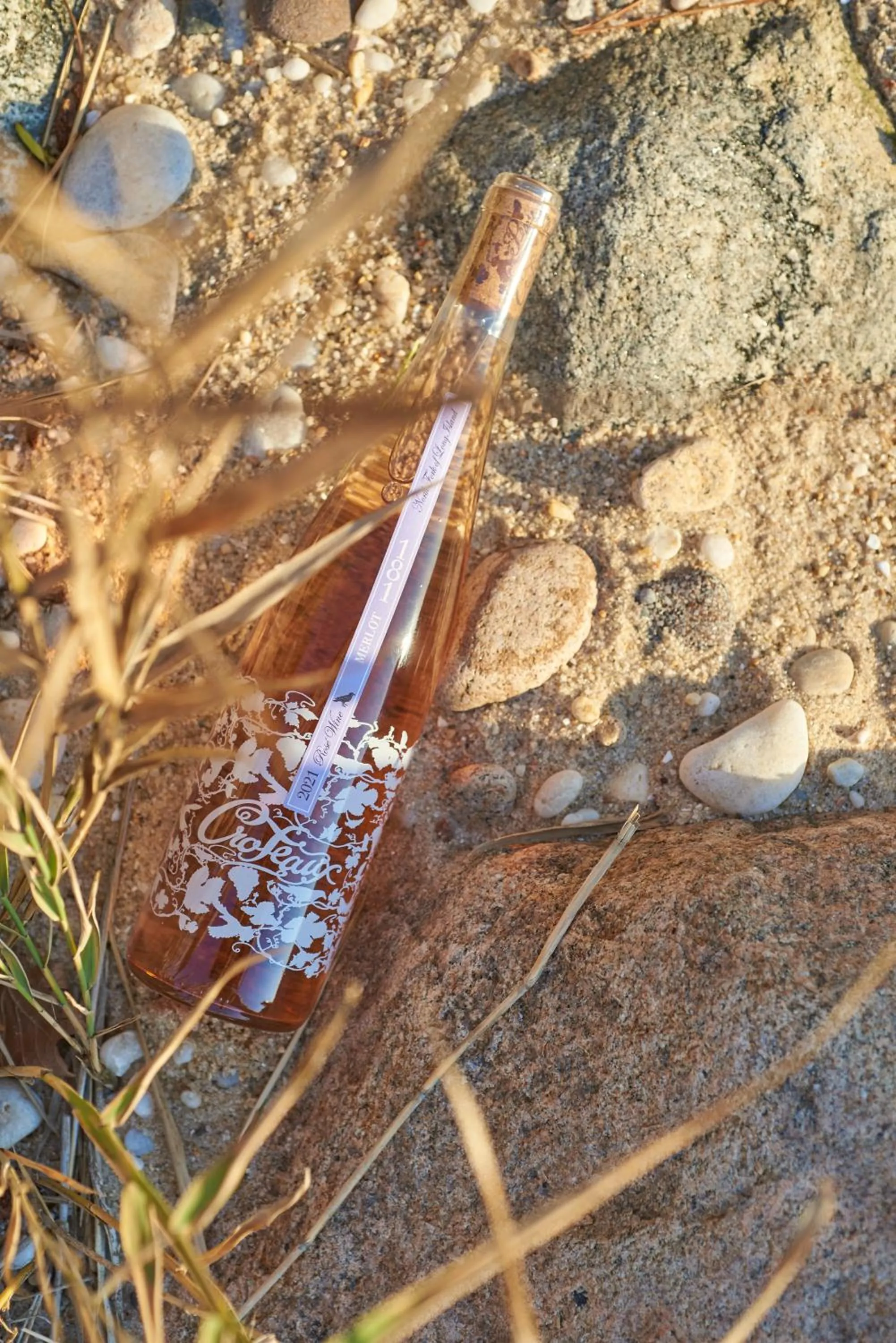 Food and drinks in Hotel Moraine