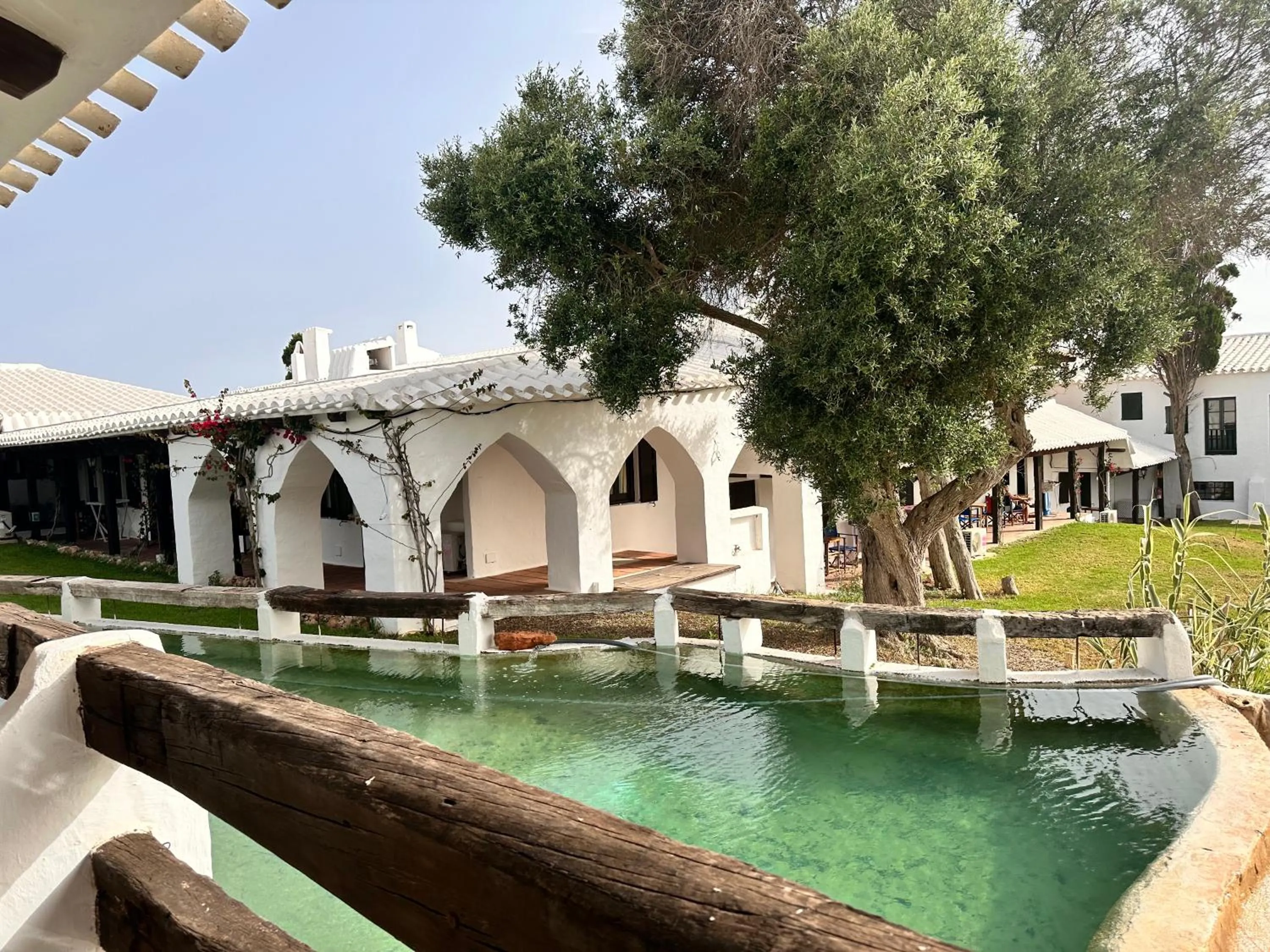 Garden in Binivell Park - Caliu Apartments