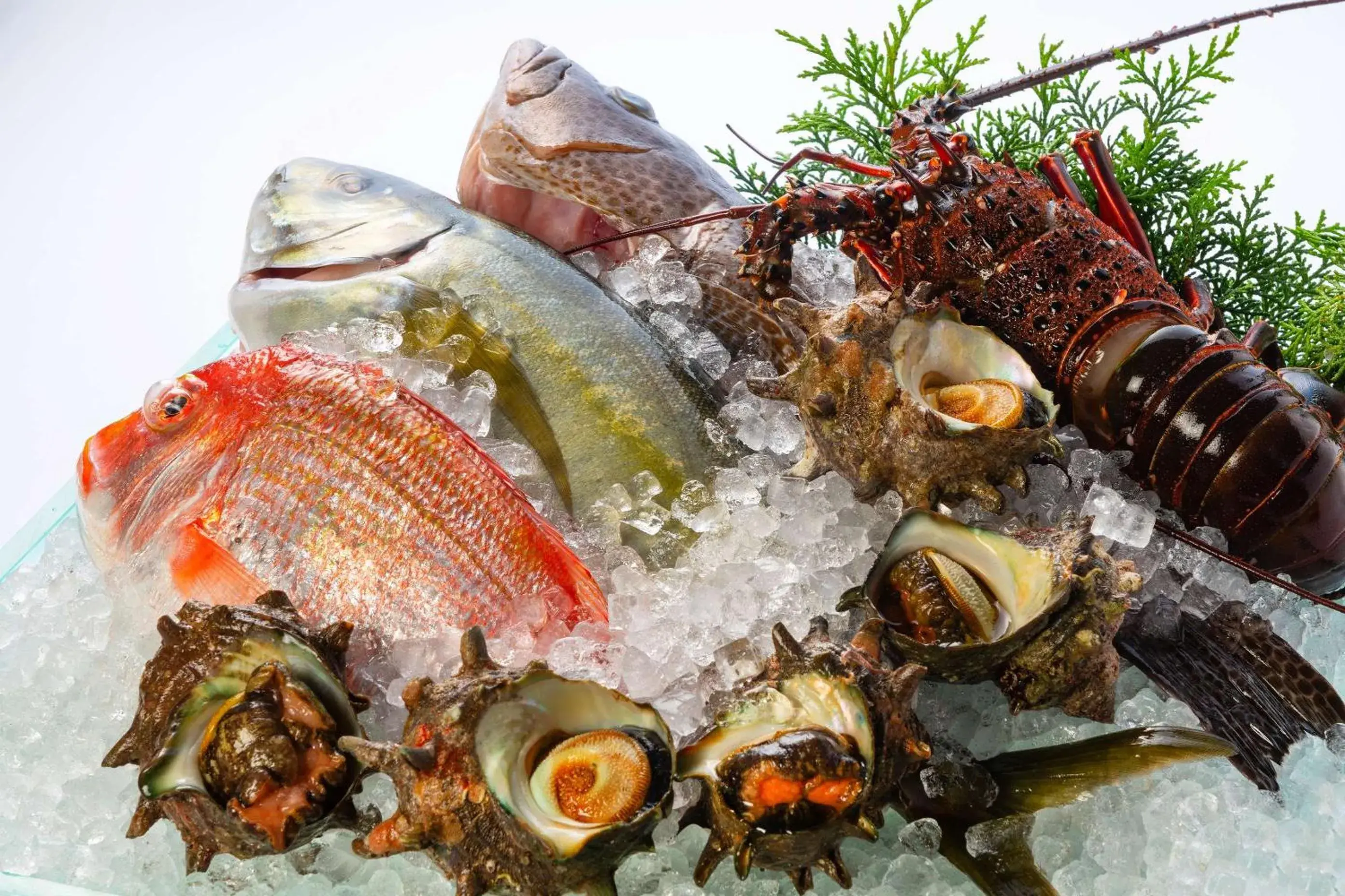 Restaurant/places to eat in OliveBay Hotel Restaurant/places to eat in OliveBay Hotel