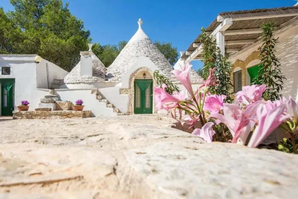 Il Trullo dell'Ulivo Bianco Il Trullo dell'Ulivo Bianco