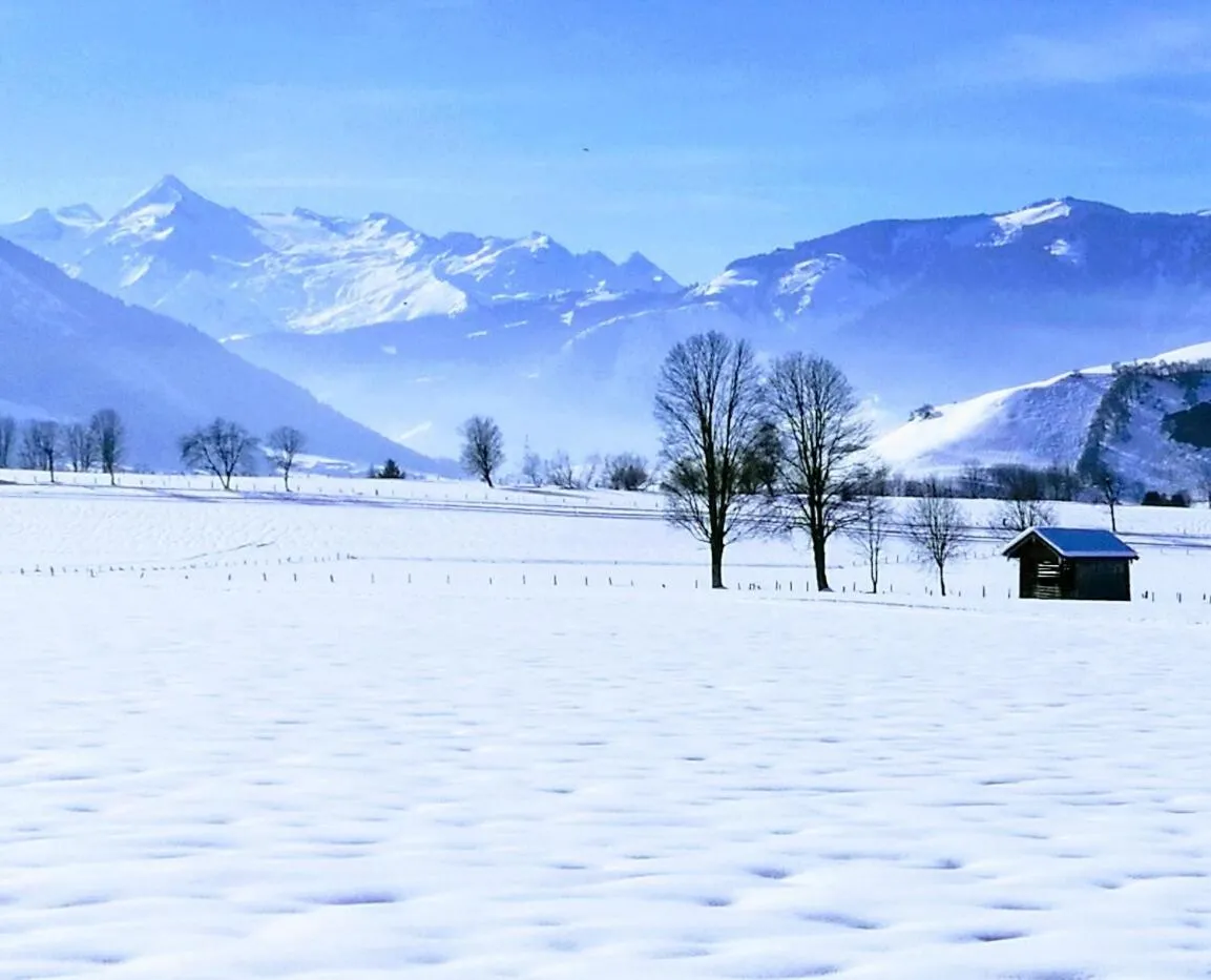 Natural landscape in Loftwohnung mit Bergblick