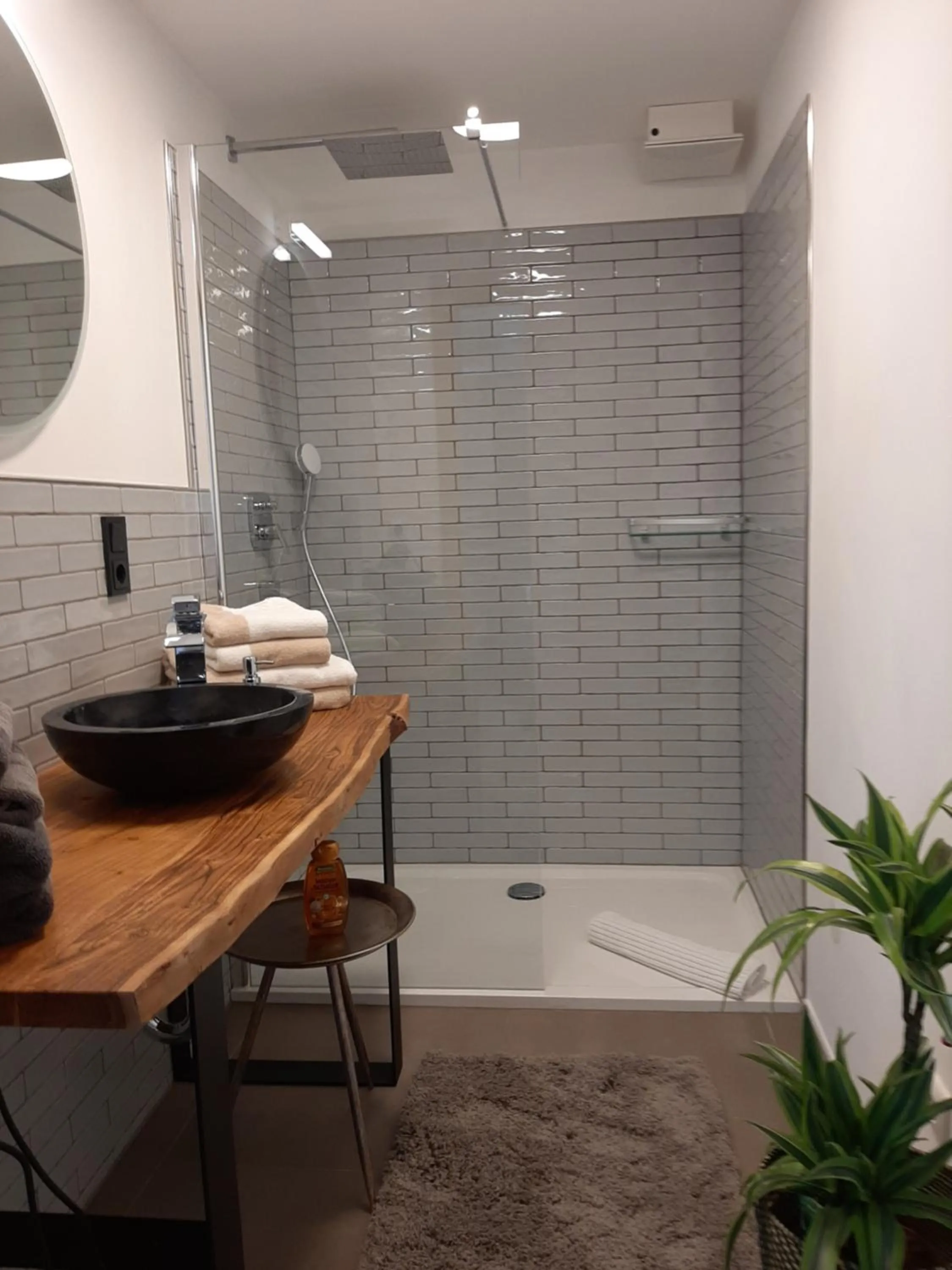 Shower in Loftwohnung mit Bergblick