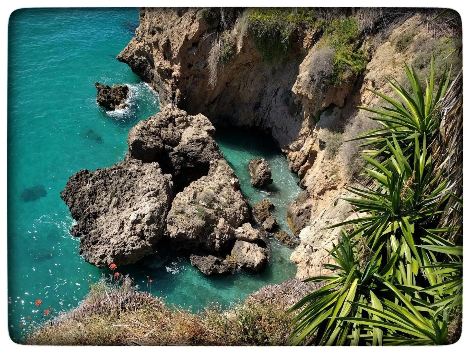 Spring in Hostal Andalucia