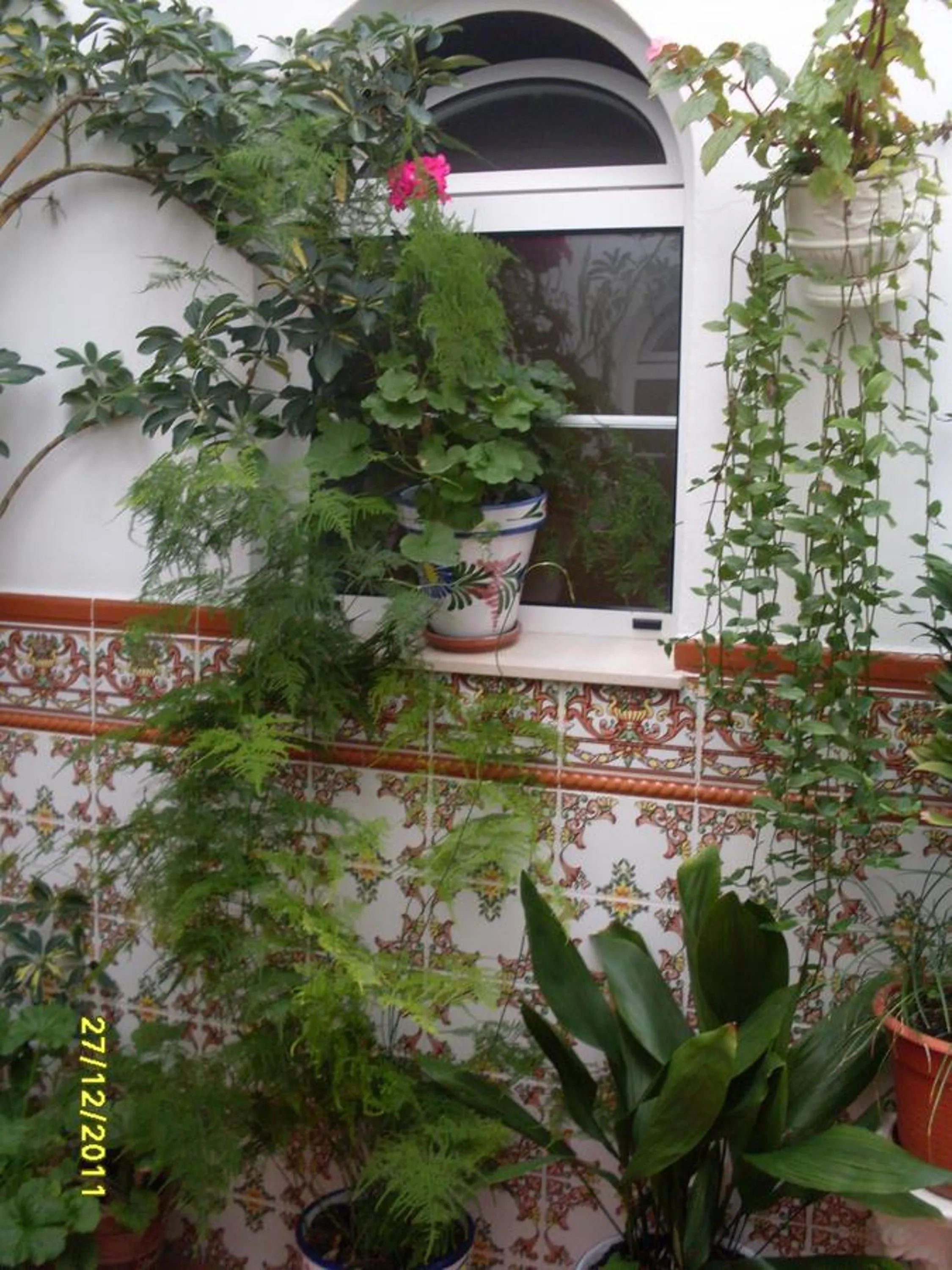 Patio in Hostal Andalucia