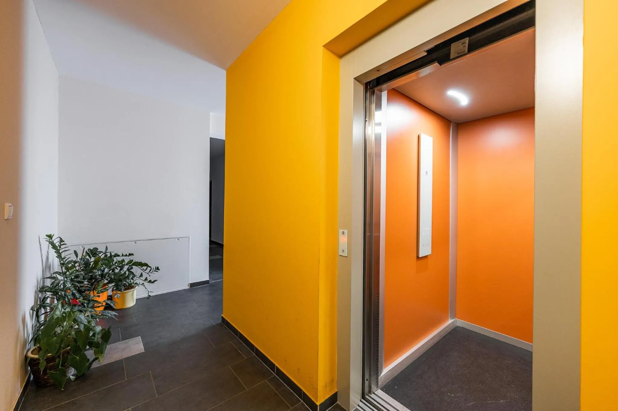 New Spacious Apartment with City View