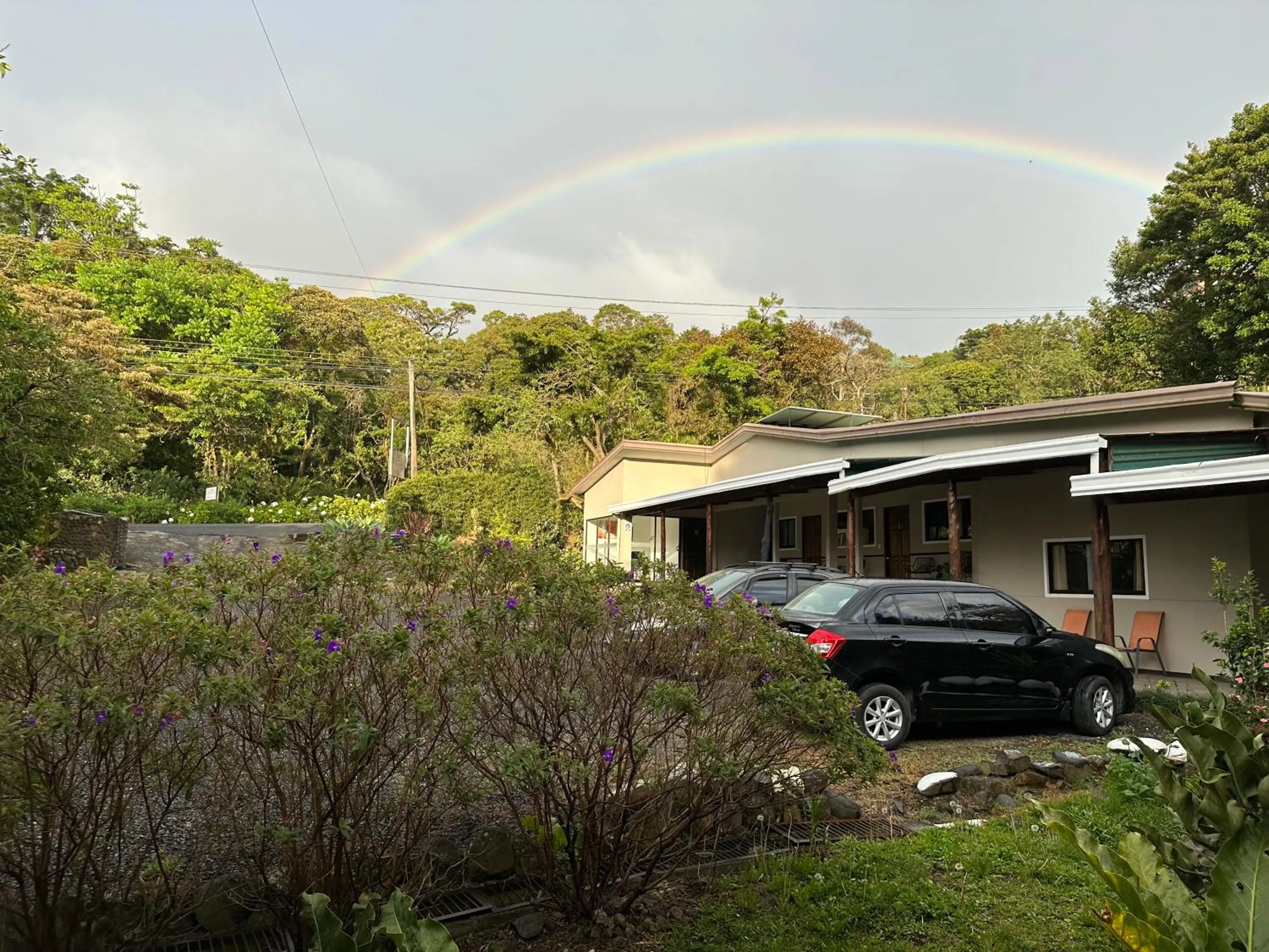 Property building in Natüra Hotel Monteverde