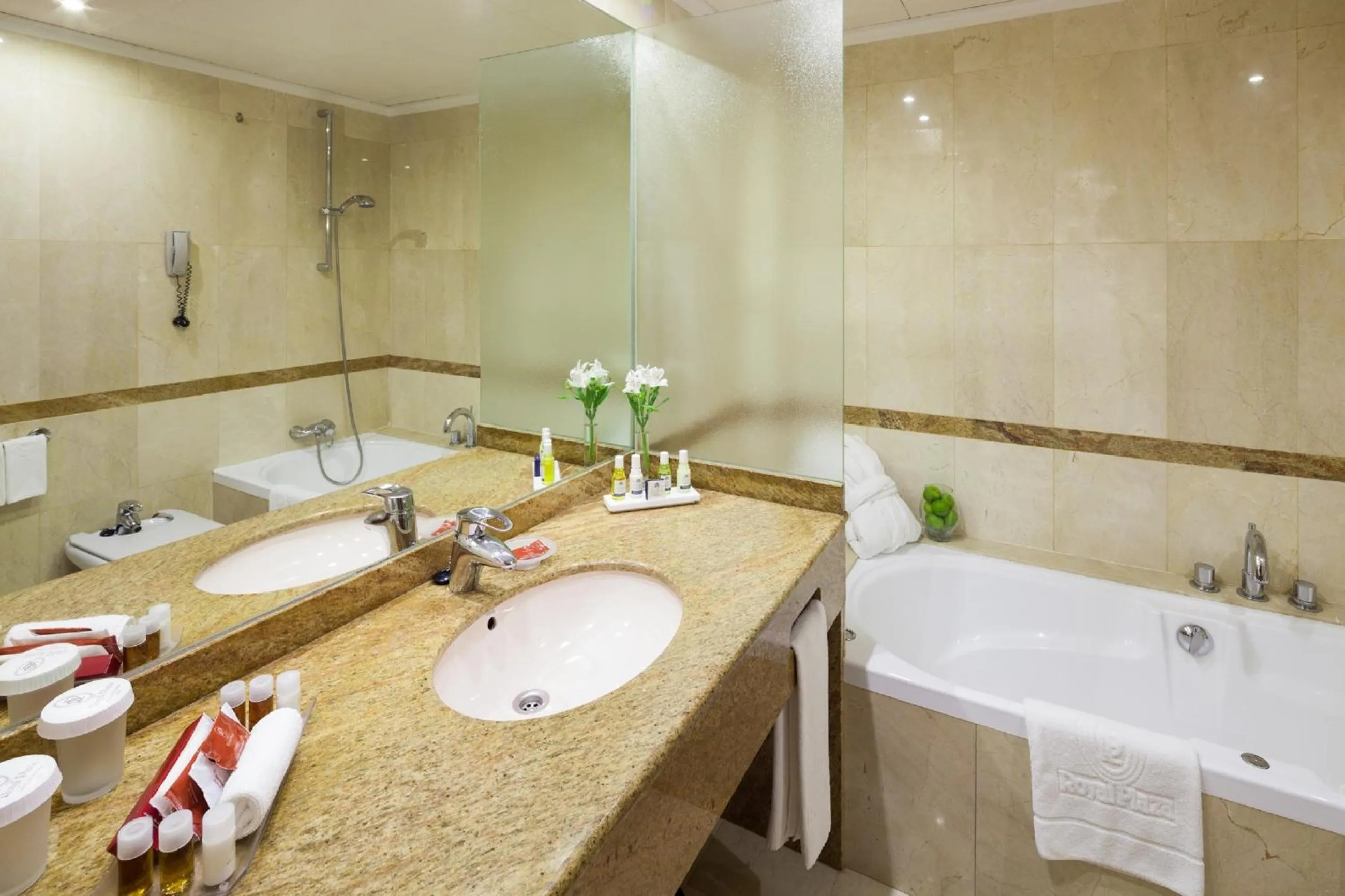 Shower in Hotel Royal Plaza