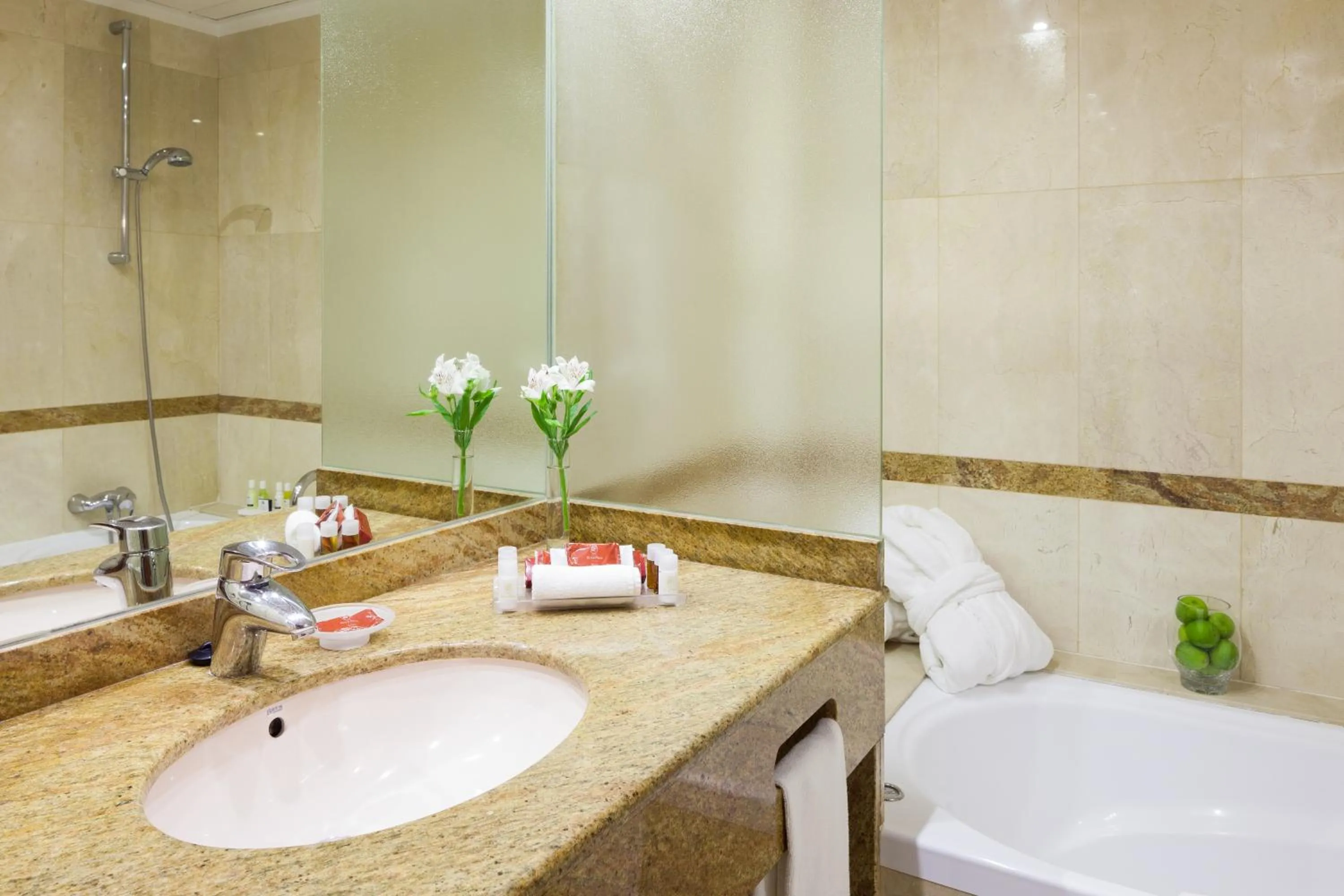 Shower in Hotel Royal Plaza