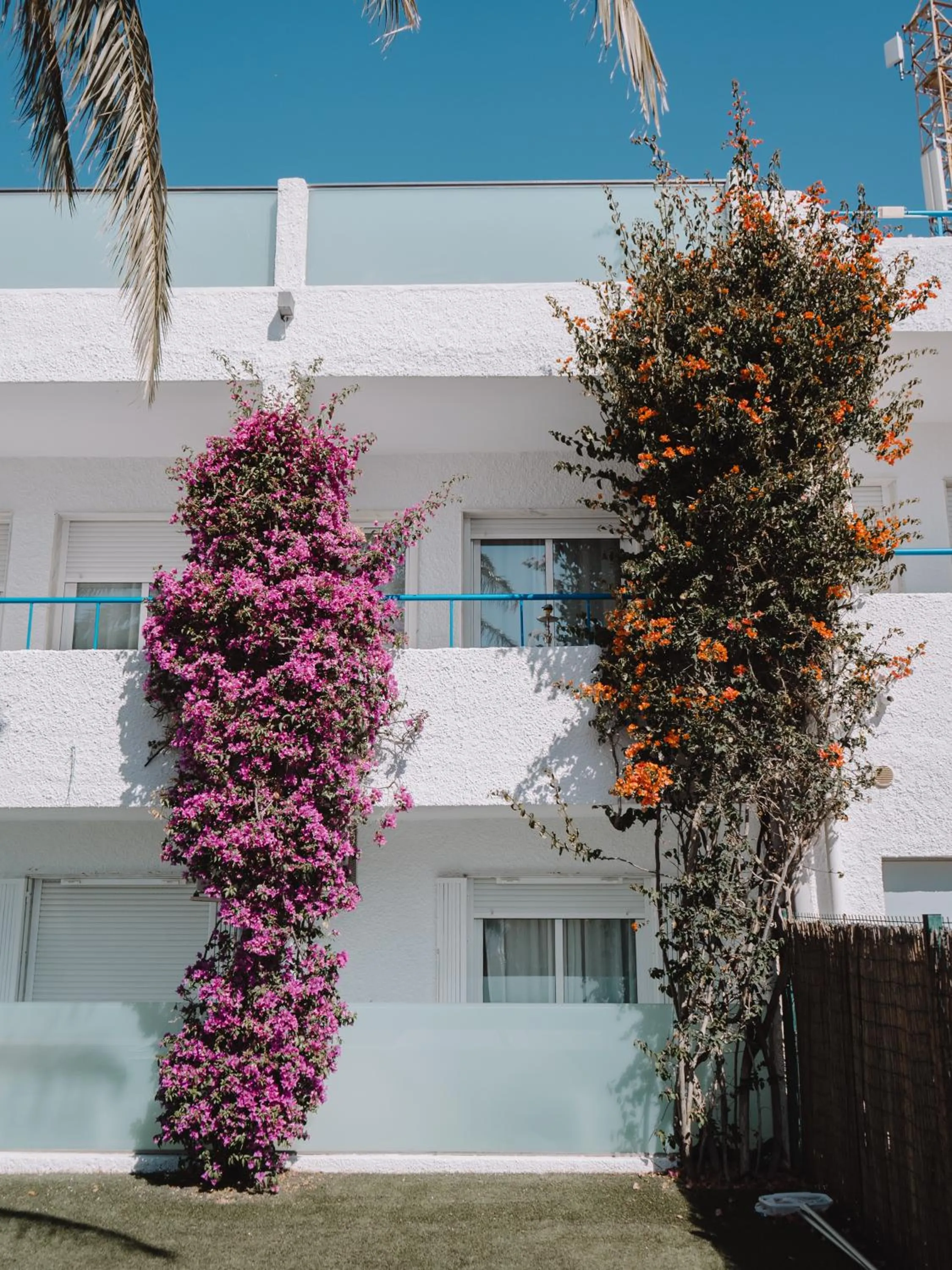 Hostal Las Gaviotas del Cabo