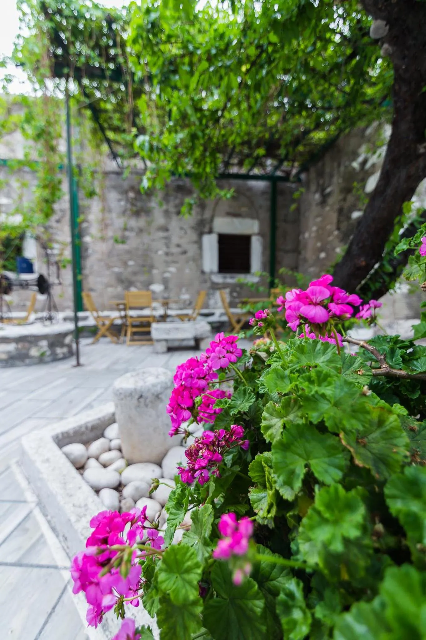 Garden view in Captain Manolis