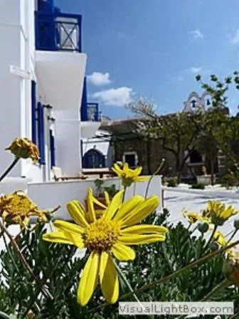 Decorative detail in Captain Manolis