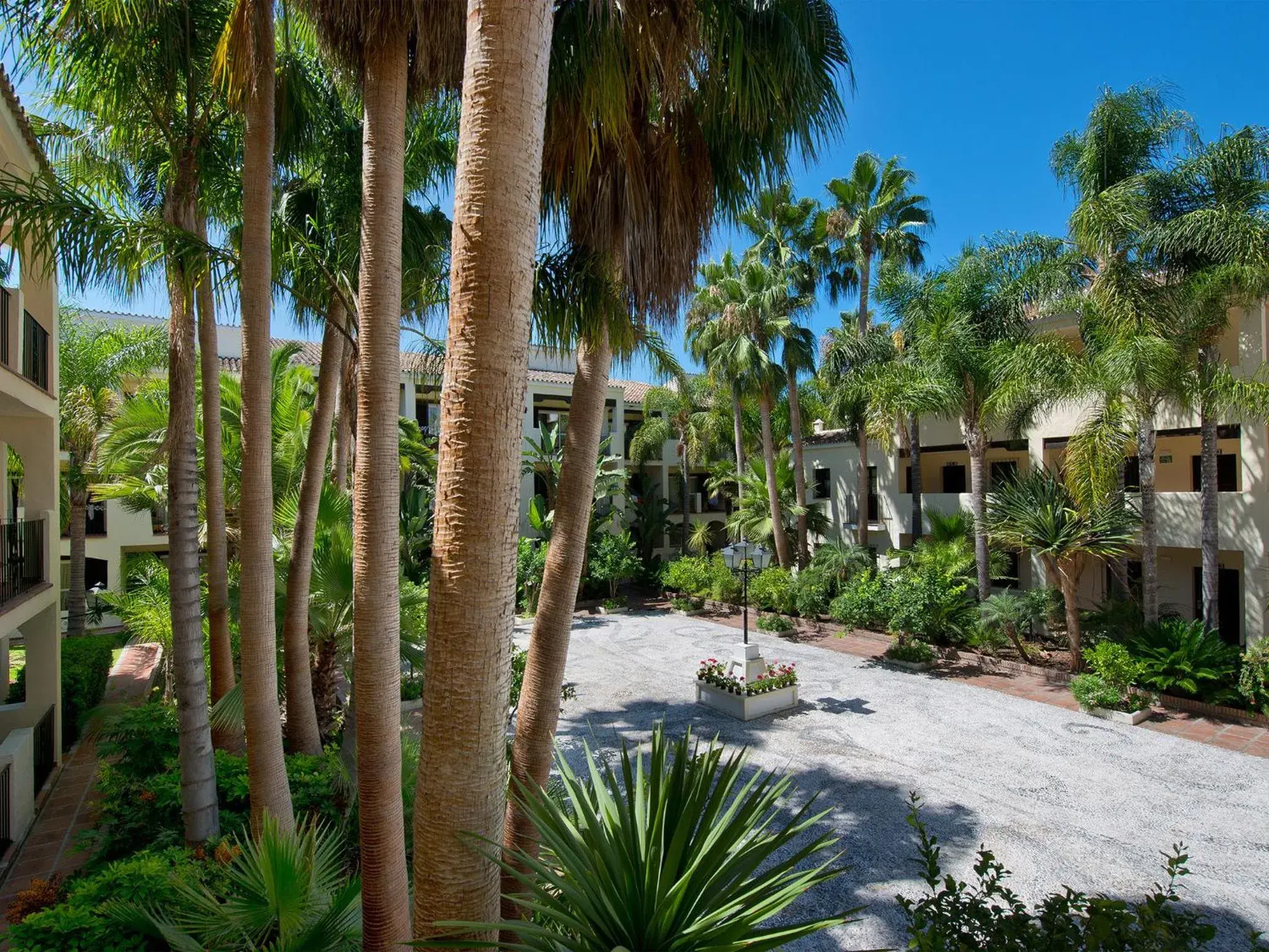 Superior Room in BlueBay Banús Superior Room in BlueBay Banús