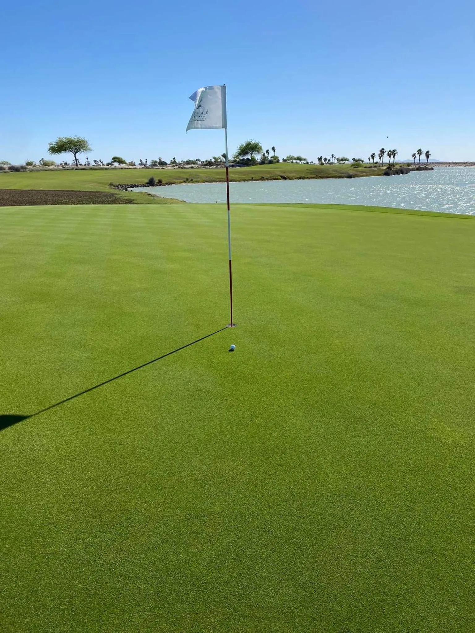 Golfcourse in Sonoran Sea Resort BEACHFRONT Condo E203