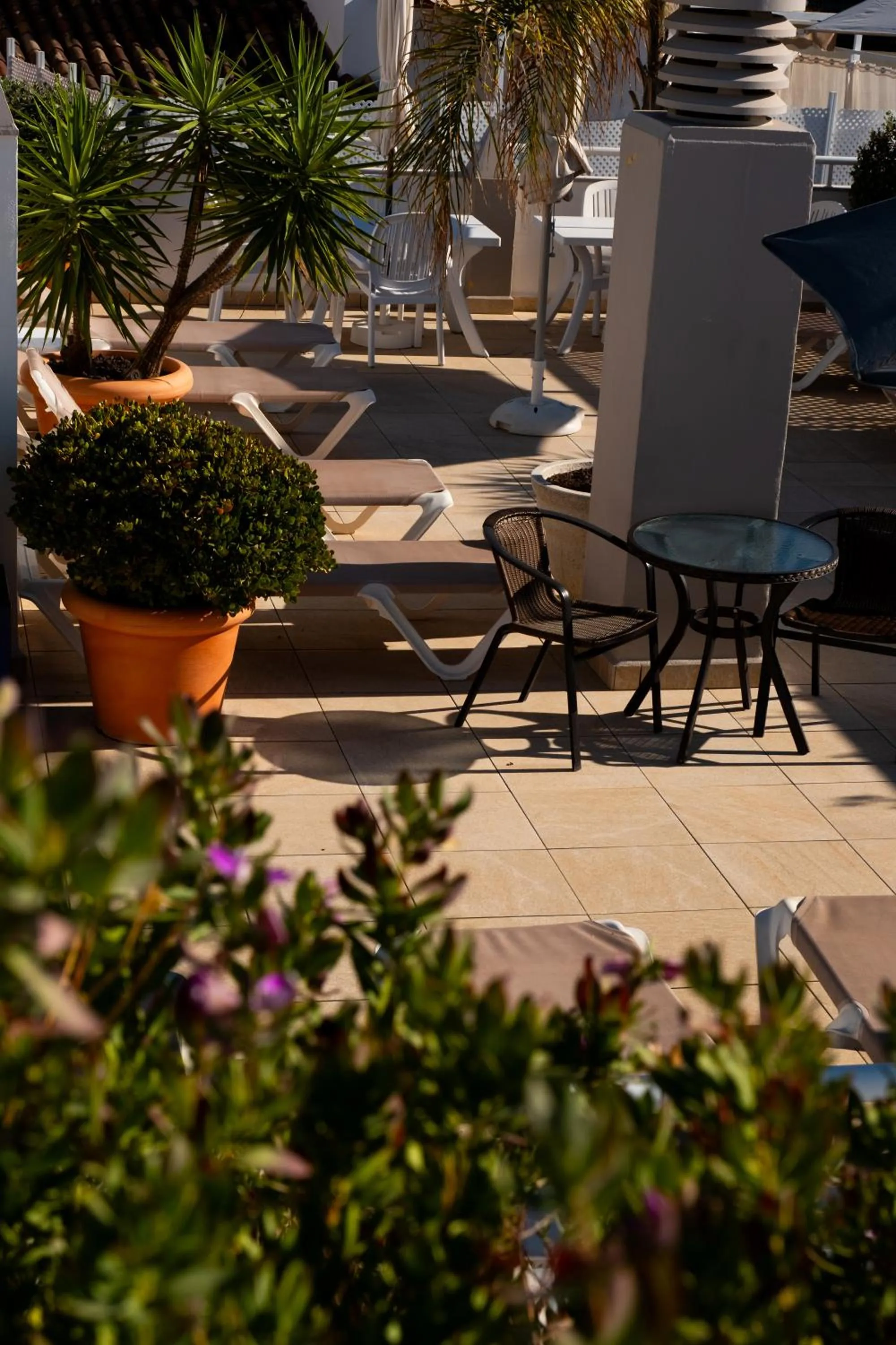 Balcony/Terrace in Hotel Puerta del Mar - Adults Recommended