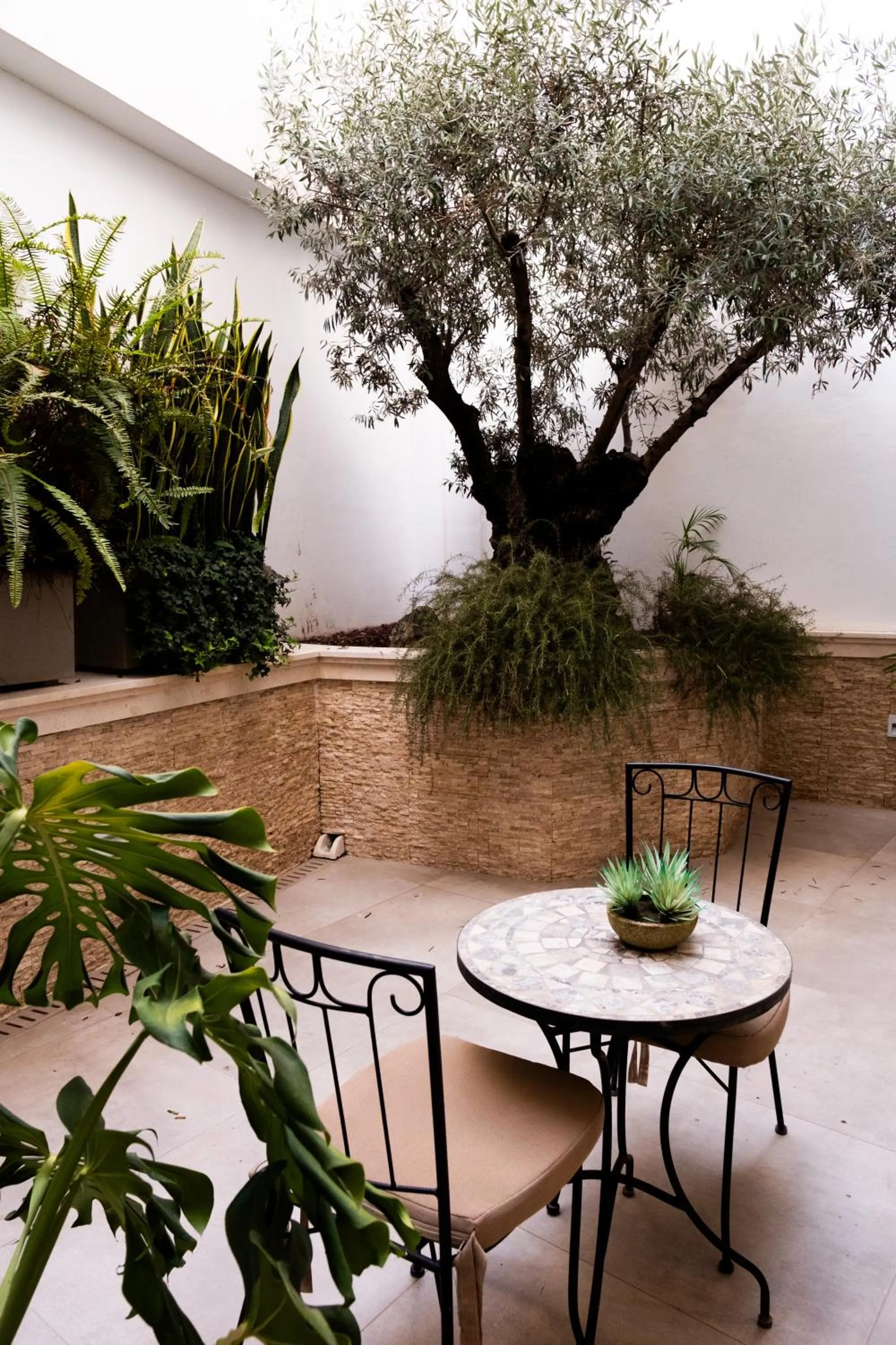 Patio in Hotel Puerta del Mar - Adults Recommended