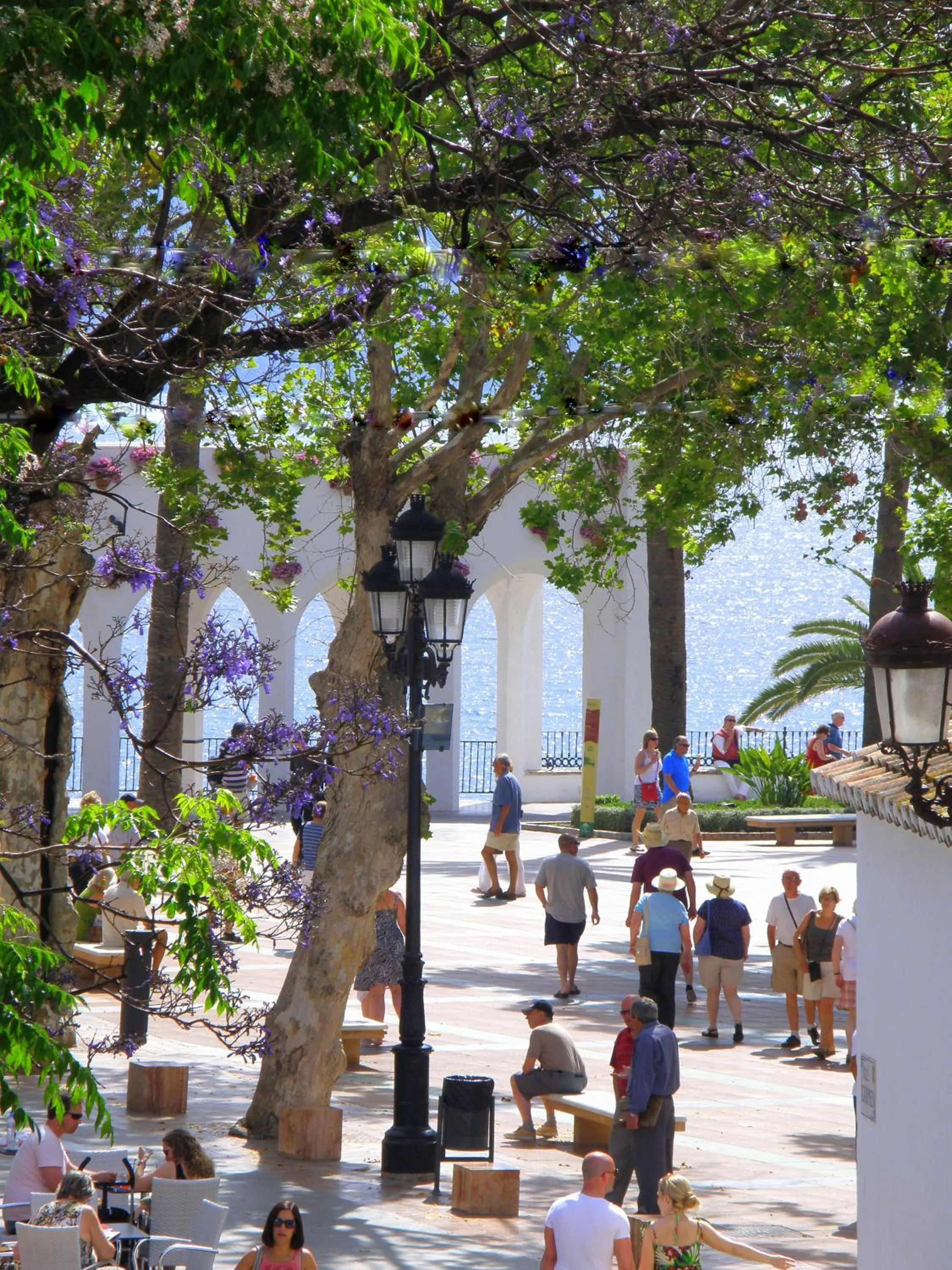 Area and facilities in Hotel Puerta del Mar - Adults Recommended