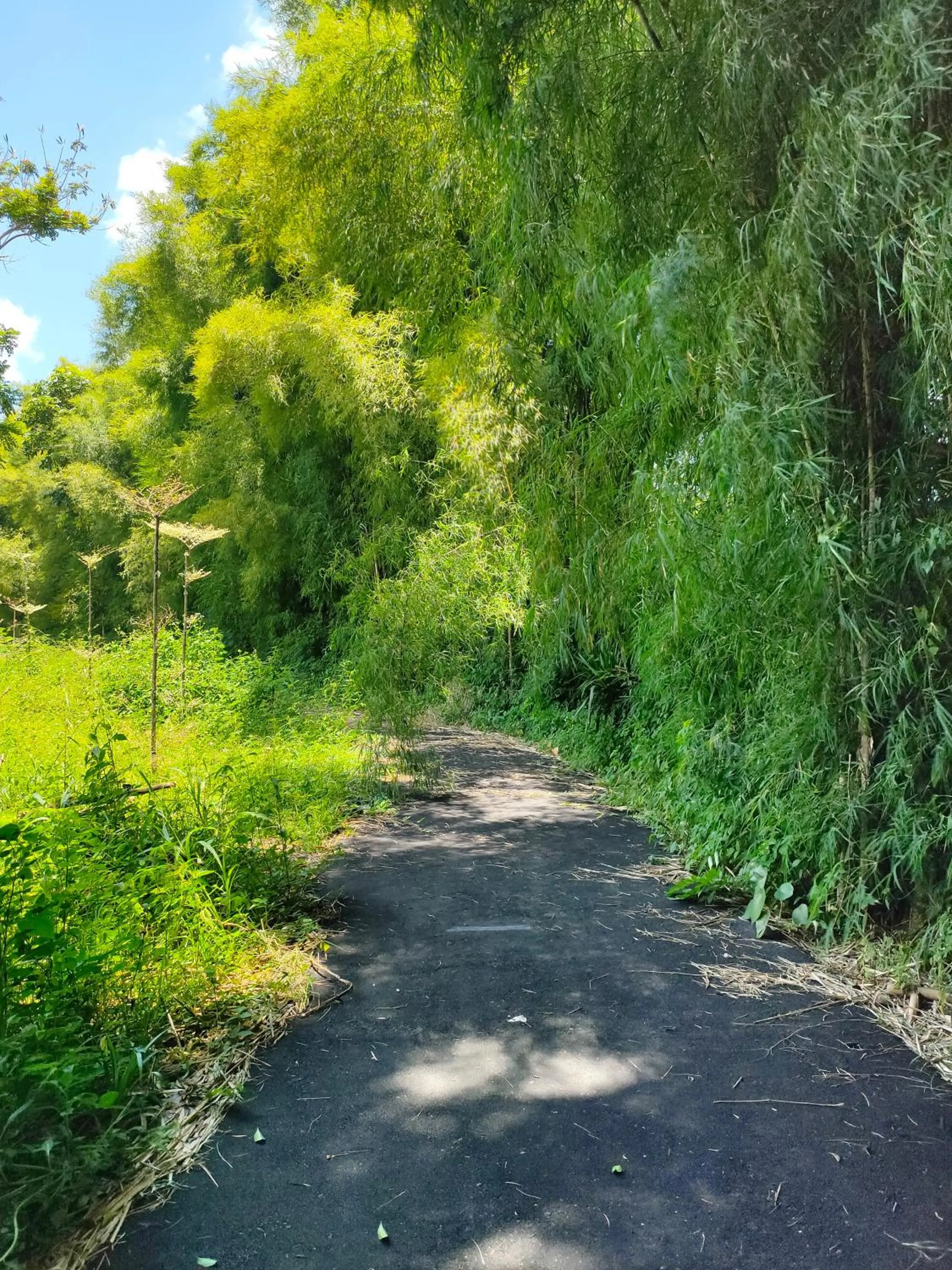 Sports in Ramada by Wyndham Yogyakarta