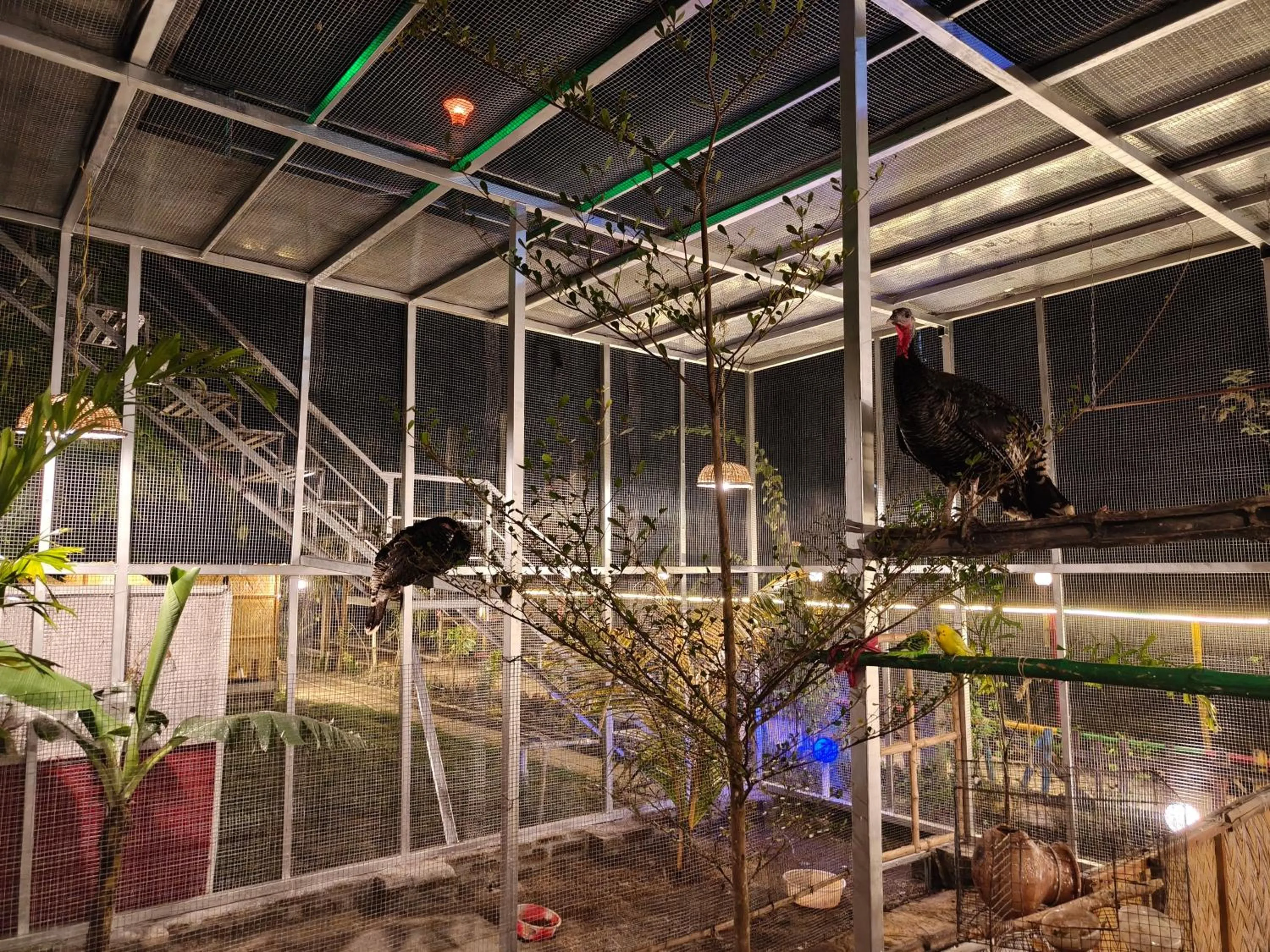 Night in Tapama Resort Bakkhali