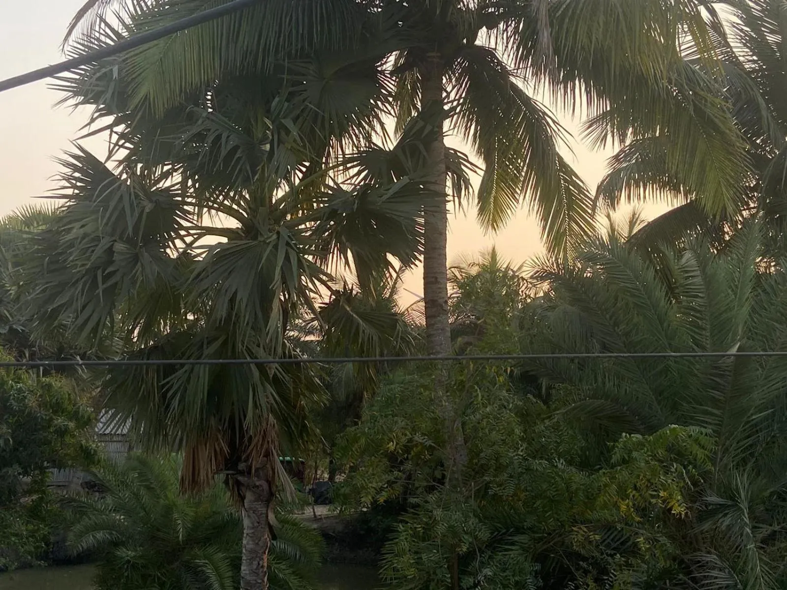 Garden view in Tapama Resort Bakkhali