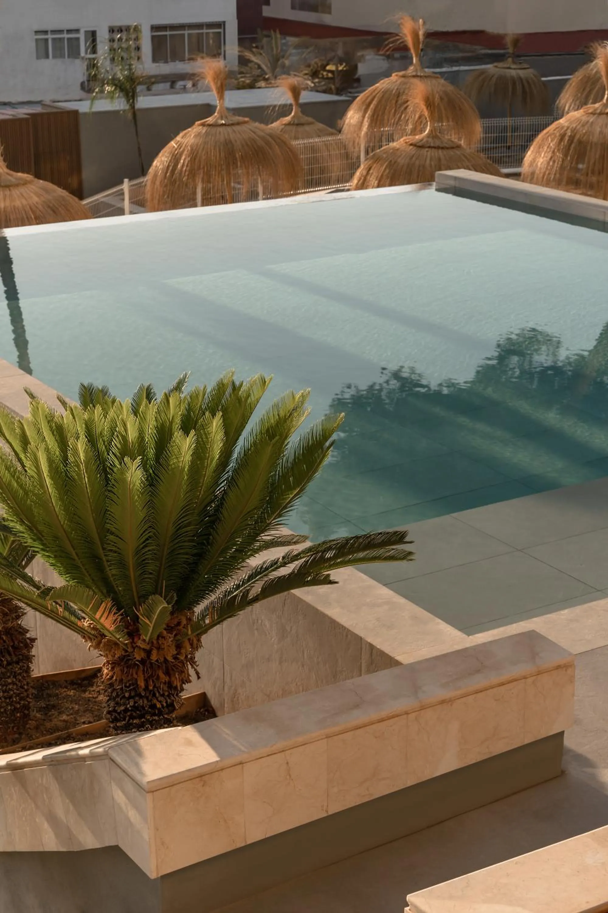 Swimming pool in Cooks Club Calvia Beach - Adults Only