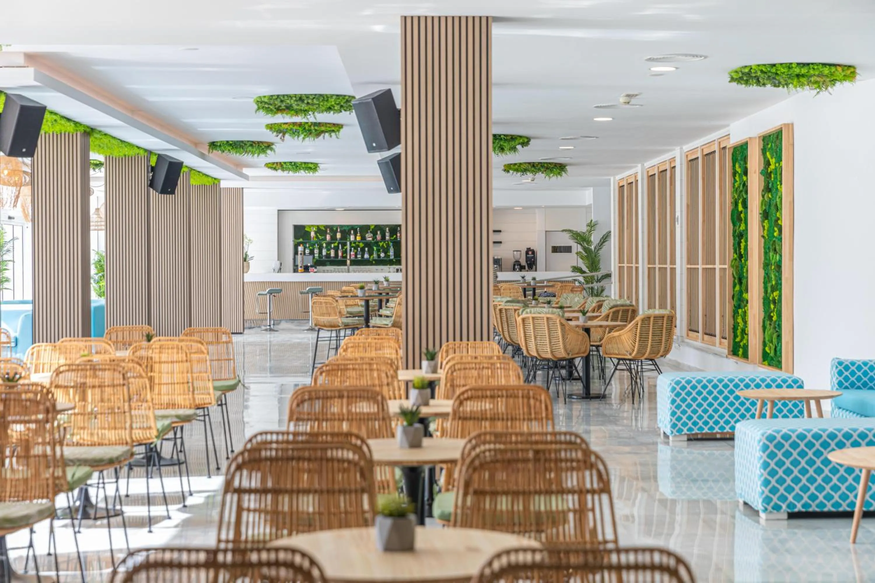 Restaurant/places to eat in MarSenses Rosa del Mar Hotel & Spa