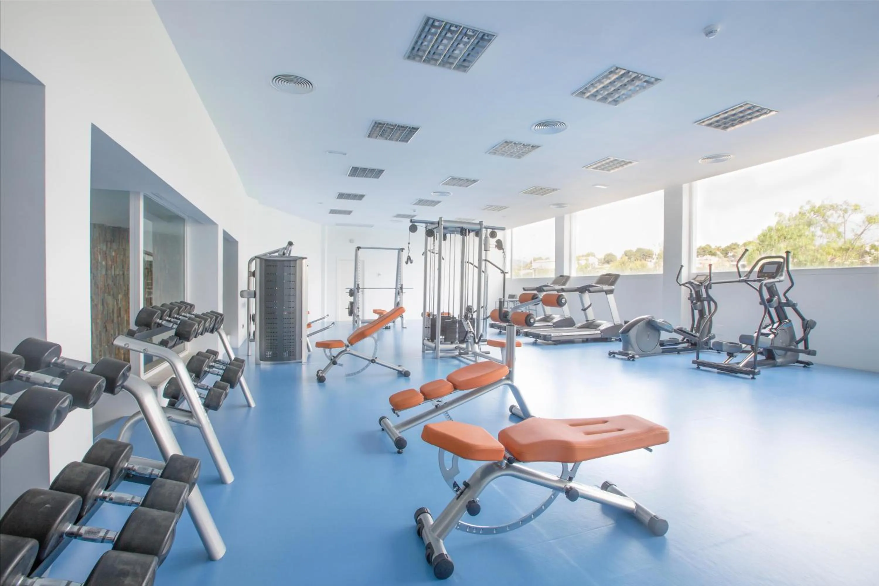 Activities in MarSenses Rosa del Mar Hotel & Spa