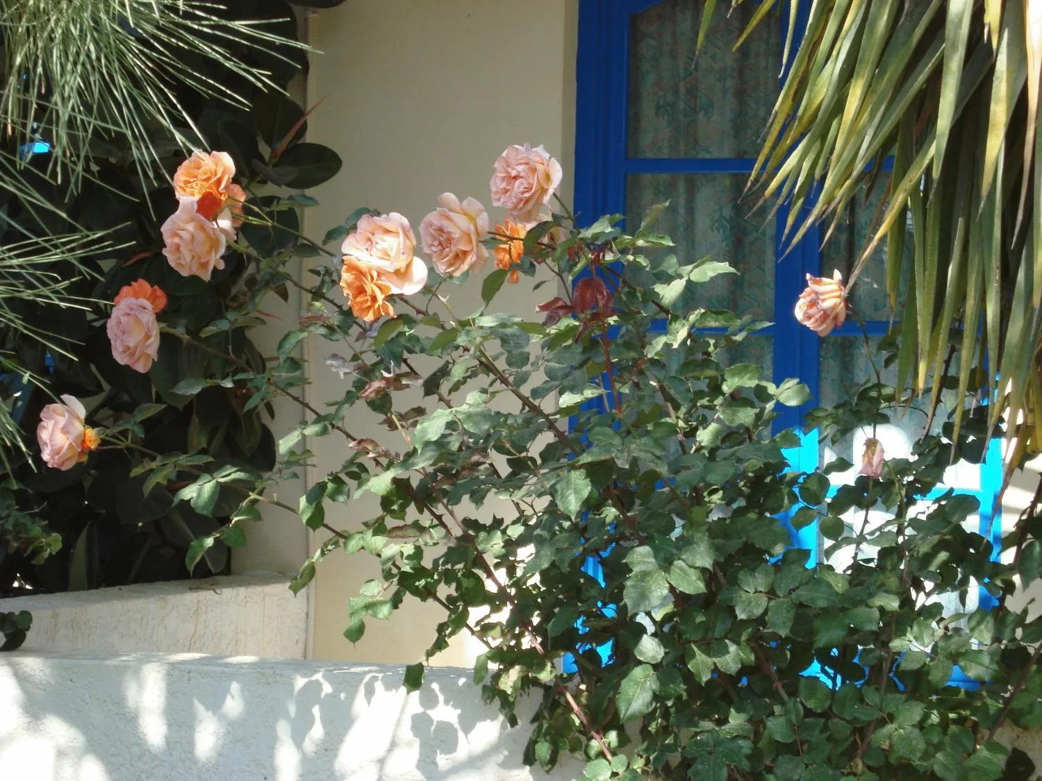 Other in Creta Sun Hotel Studios