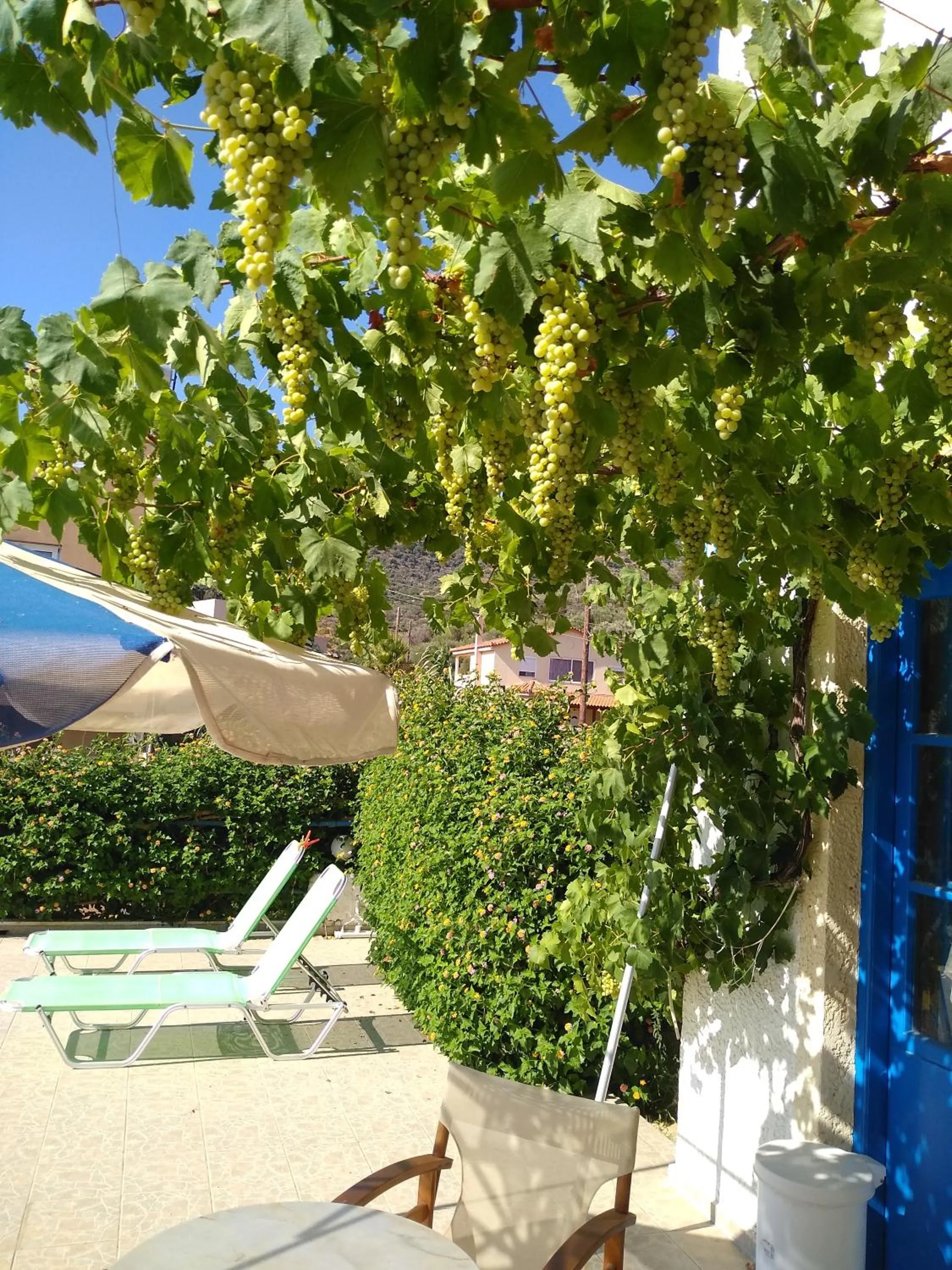 Creta Sun Hotel Studios