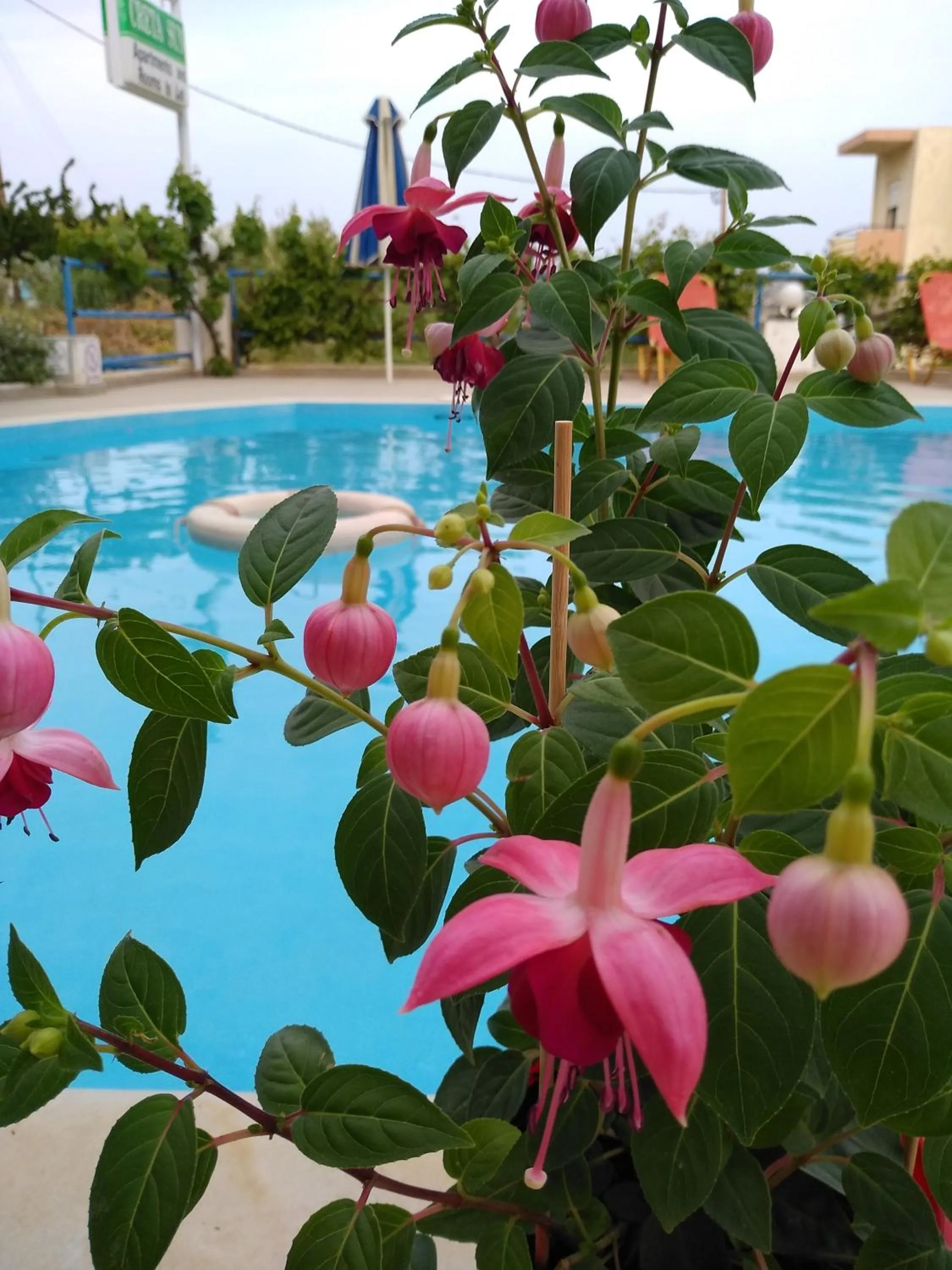 Creta Sun Hotel Studios