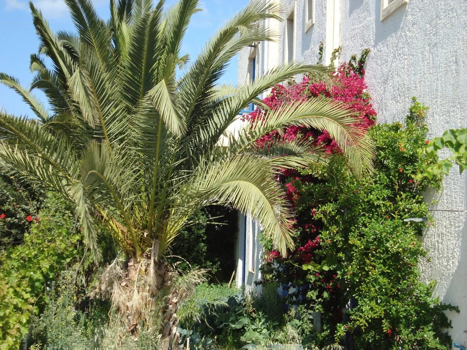 Other in Creta Sun Hotel Studios