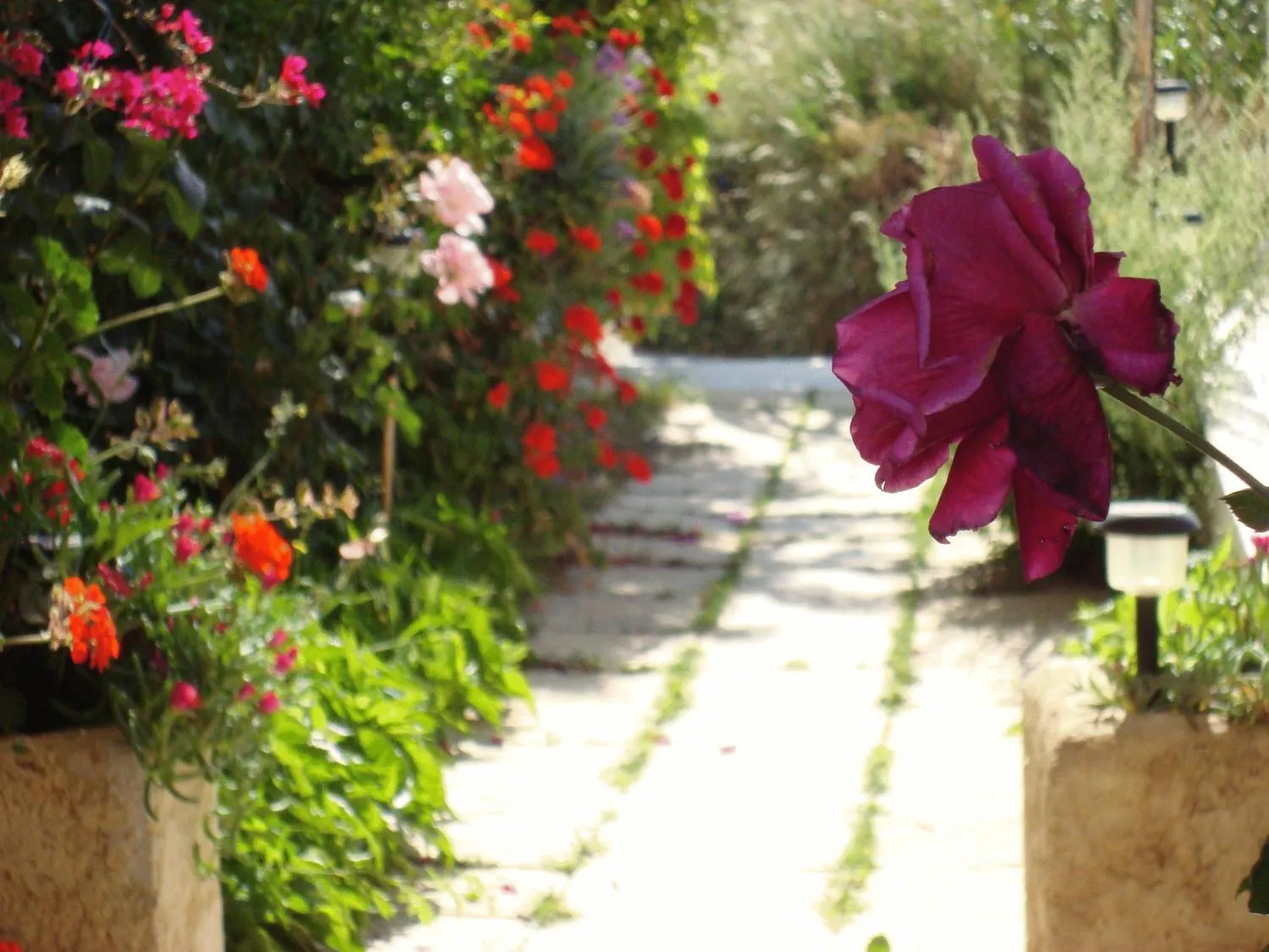 Other in Creta Sun Hotel Studios
