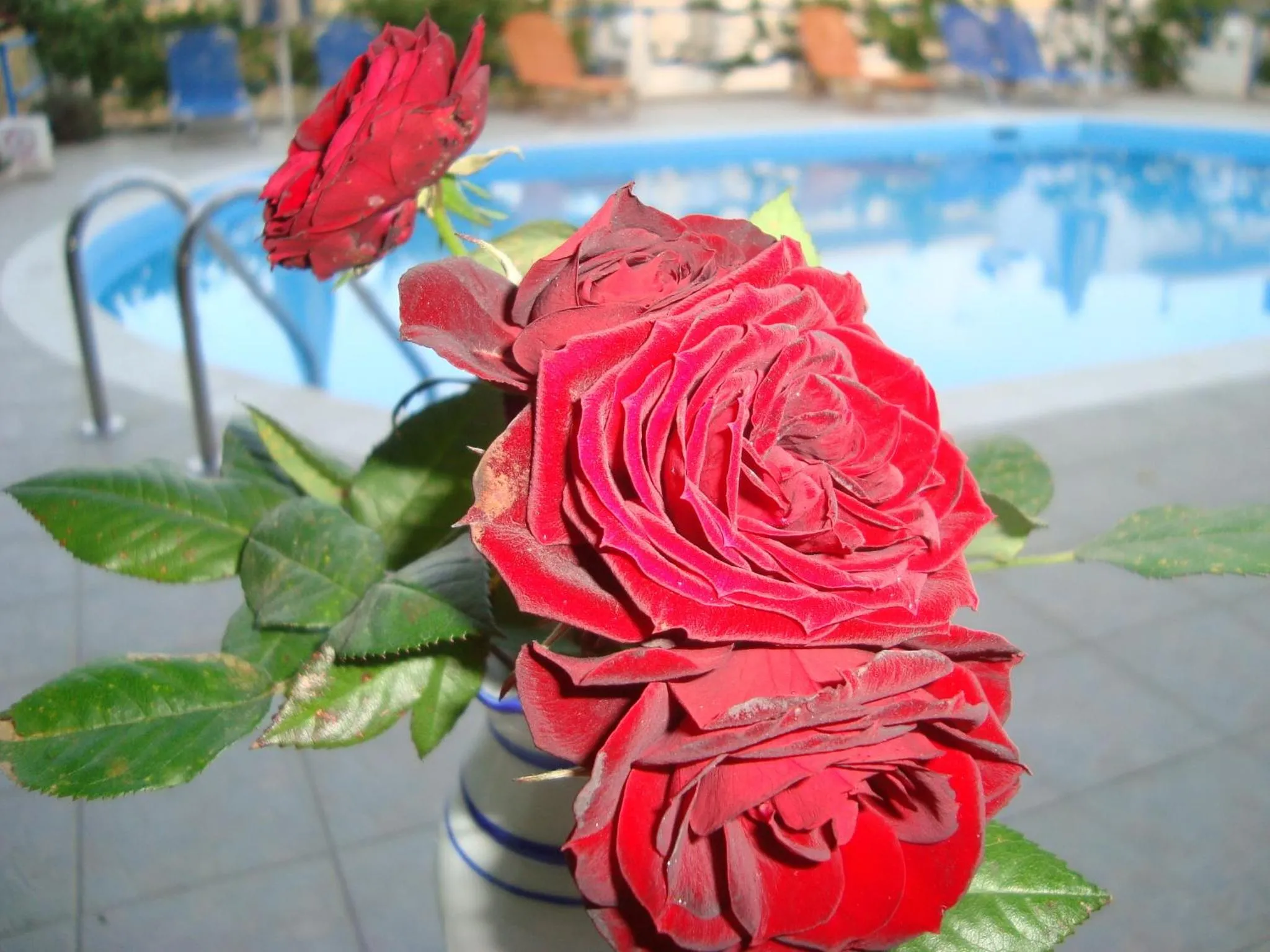 Other in Creta Sun Hotel Studios