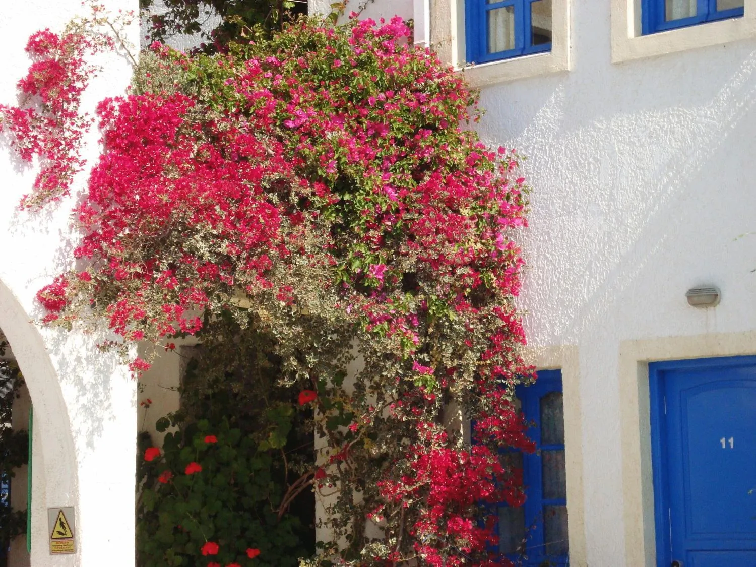Spring in Creta Sun Hotel Studios