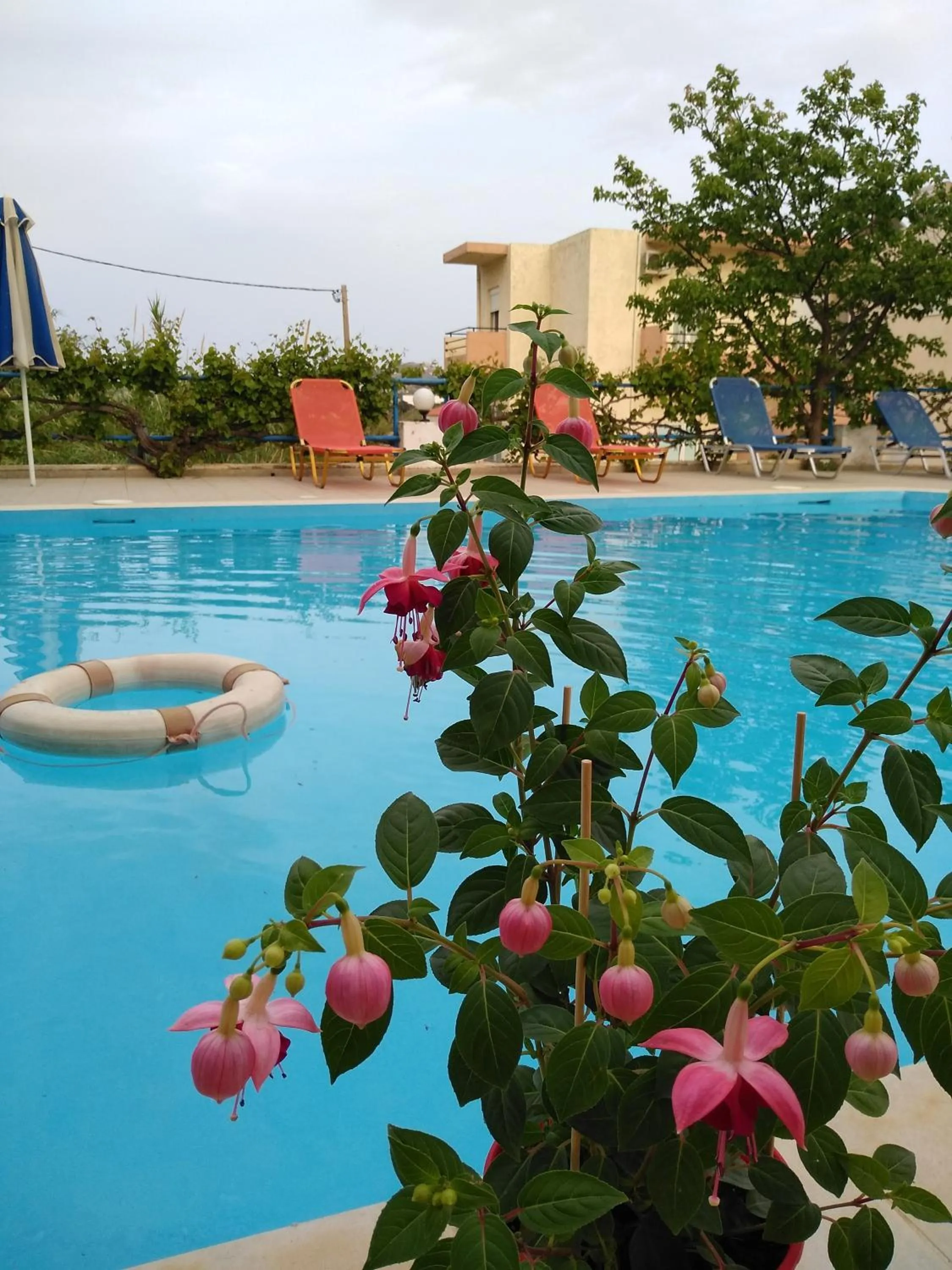 Creta Sun Hotel Studios