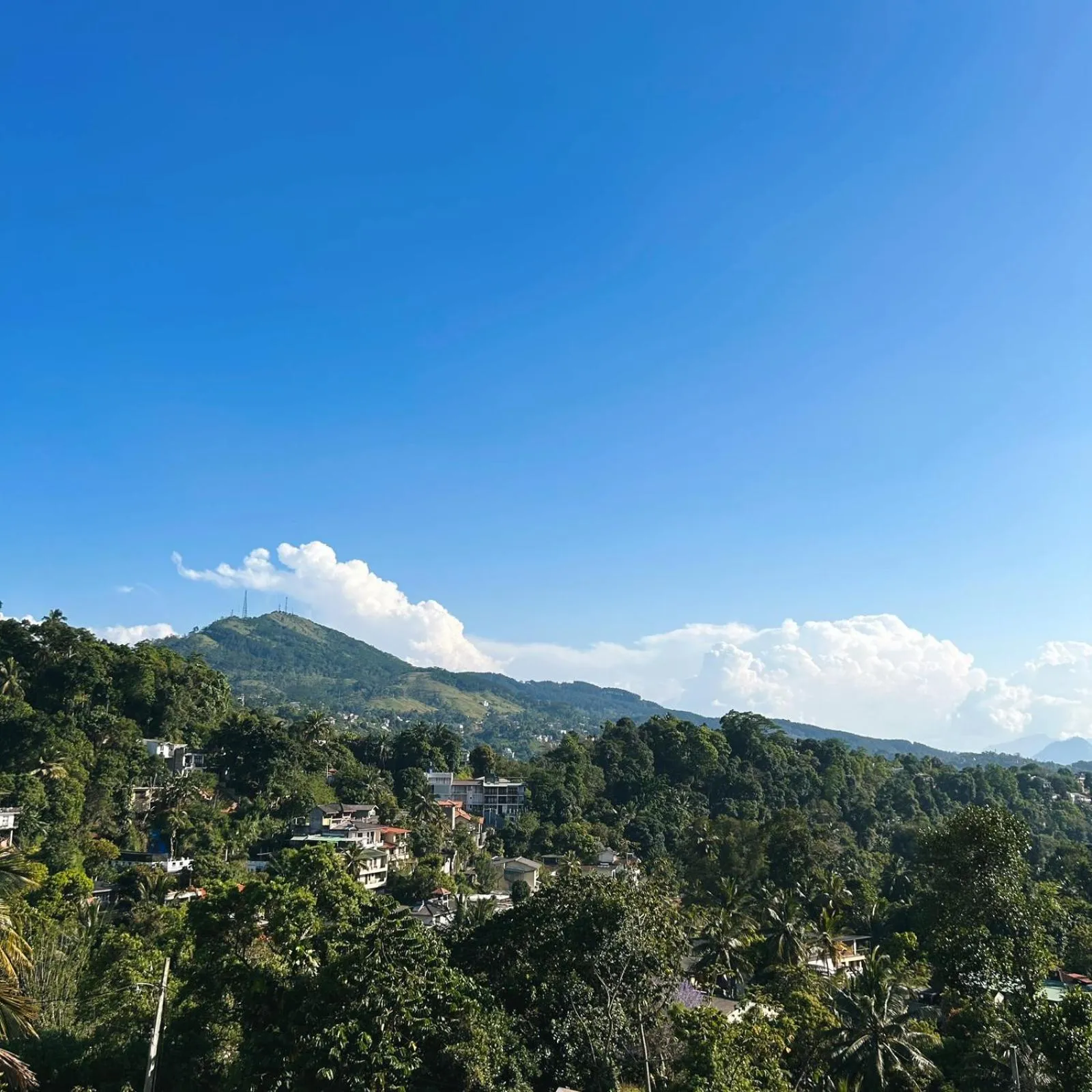 View (from property/room) in Cliveland Residence