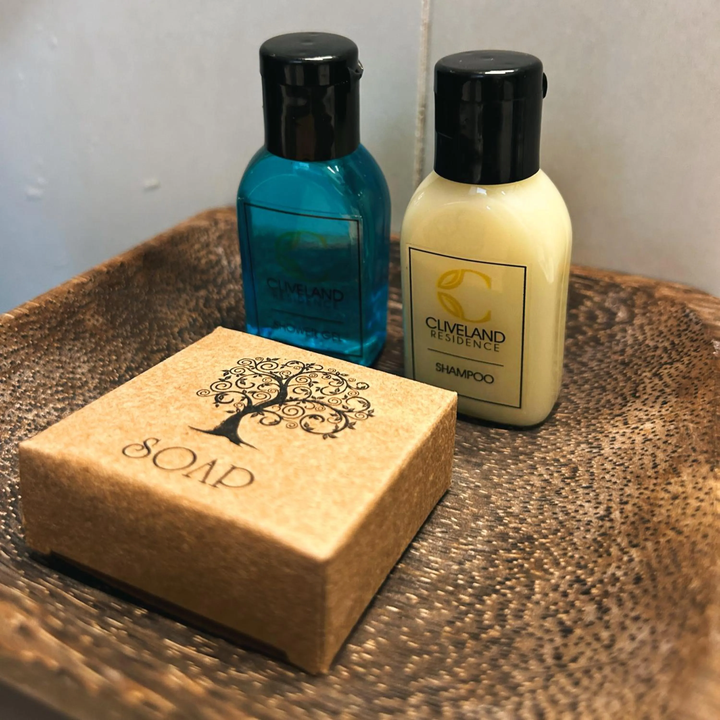 Bathroom in Cliveland Residence