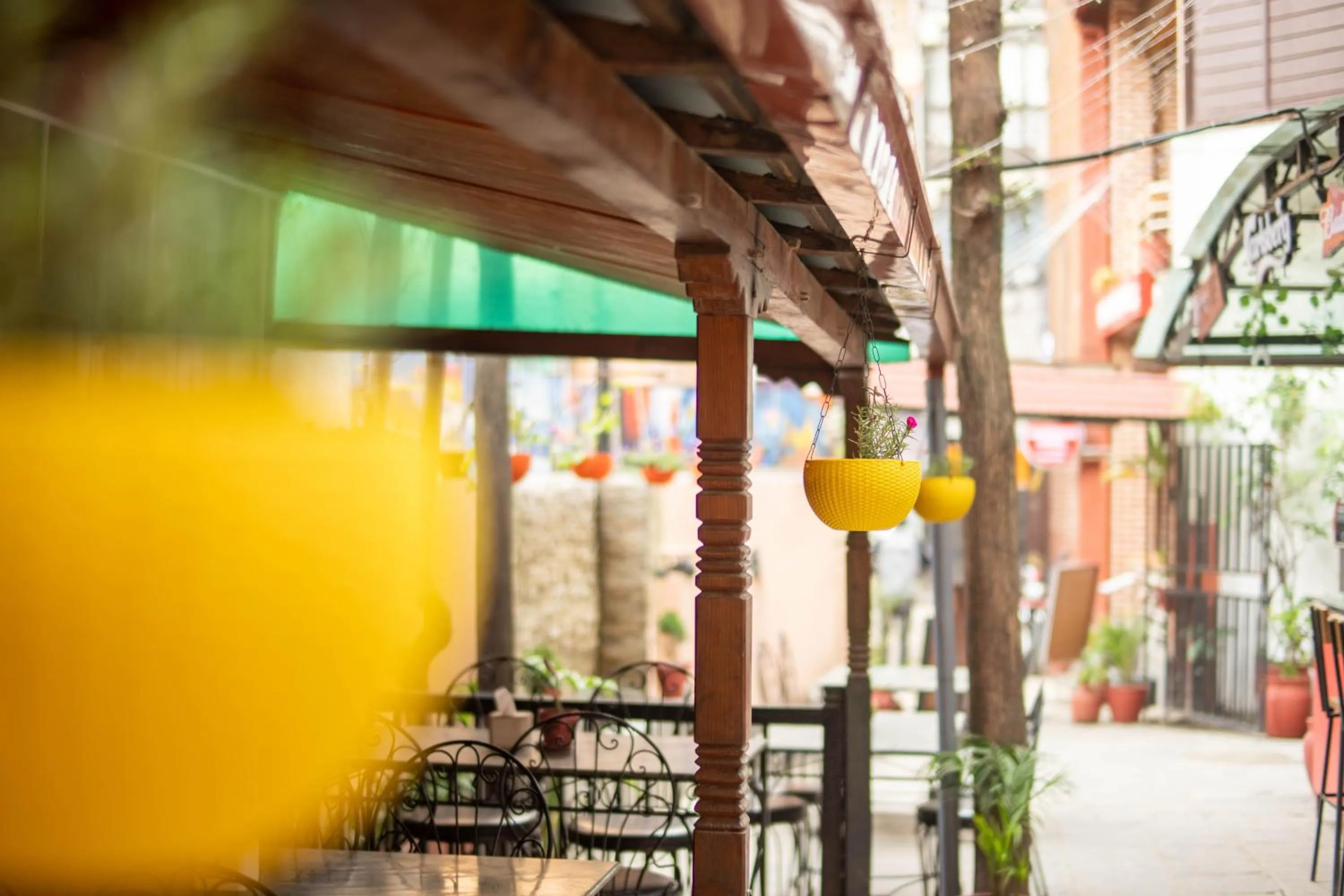 Restaurant/places to eat in Hotel Pala