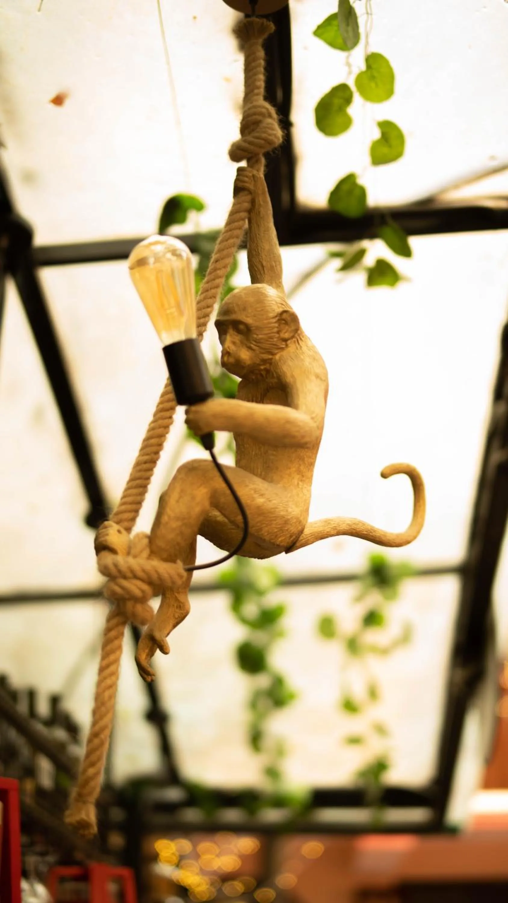 Lounge or bar in Hotel Pala