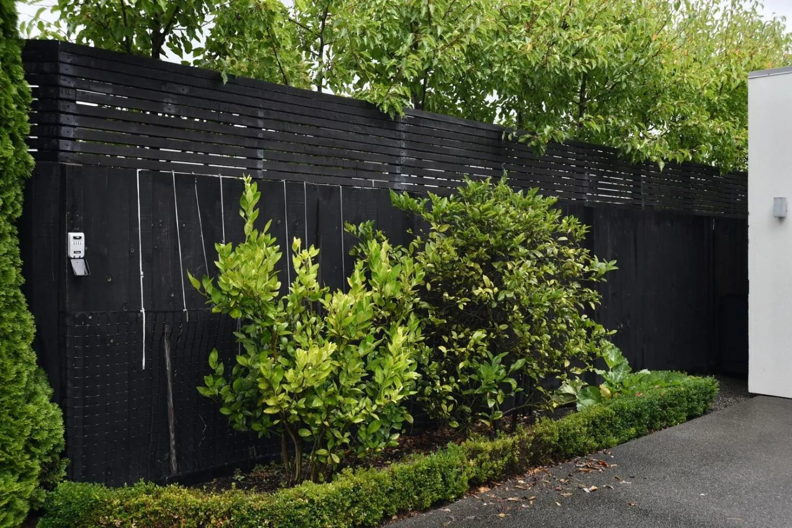 Garden in Jeffreys Road - Christchurch Holiday Homes