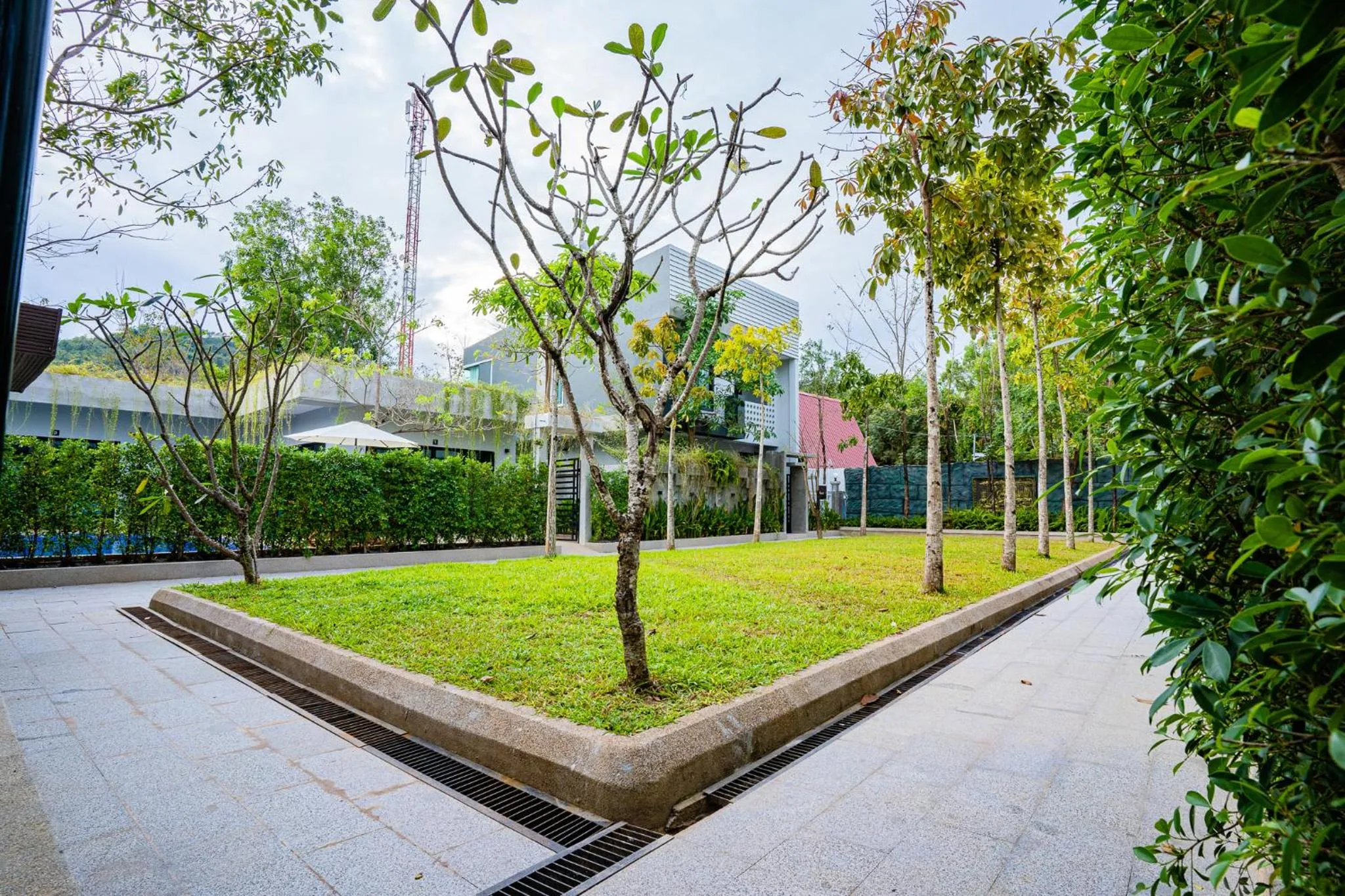 Day in Rainforest Hotel by NSUN