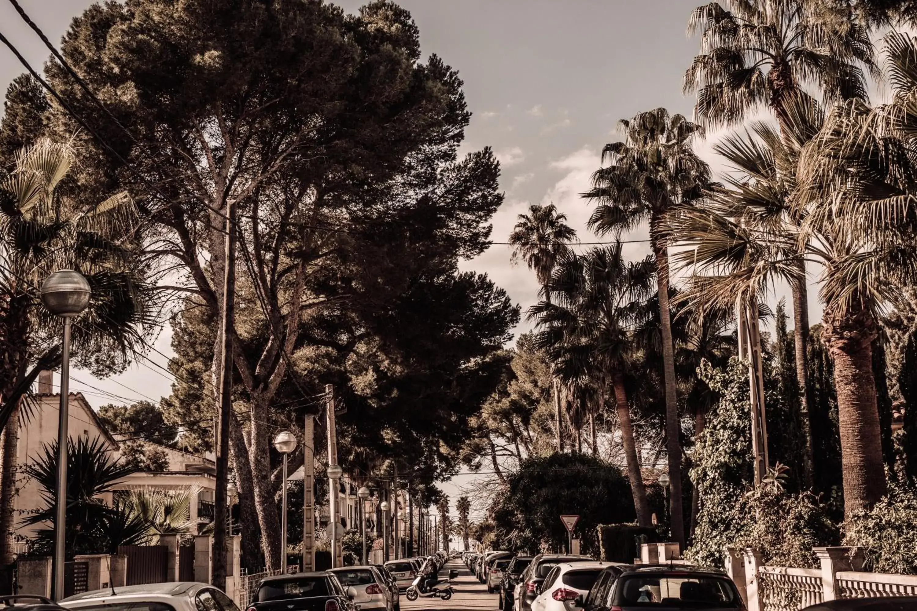 View (from property/room) in Caramelo Palma Beach View (from property/room) in Caramelo Palma Beach