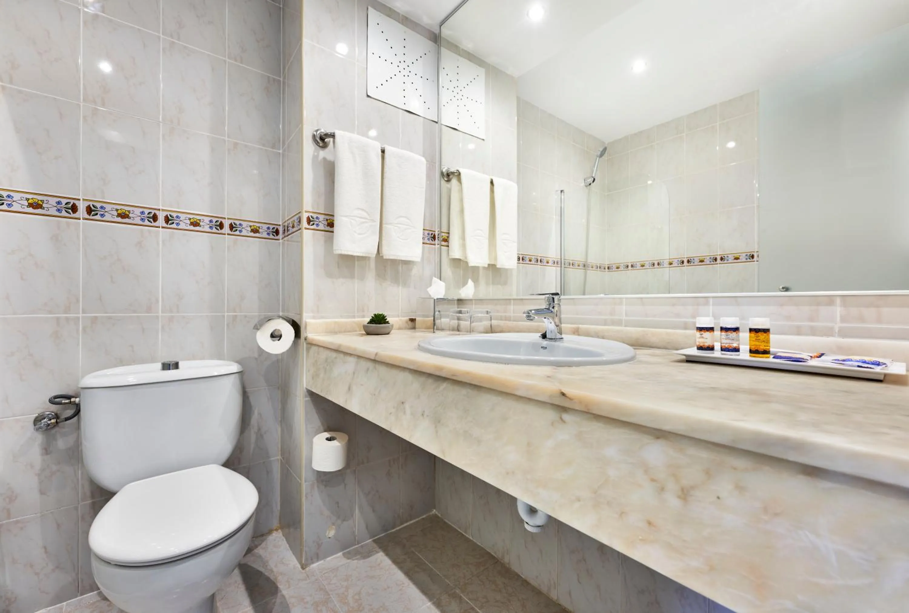 Bathroom in Globales Torrenova