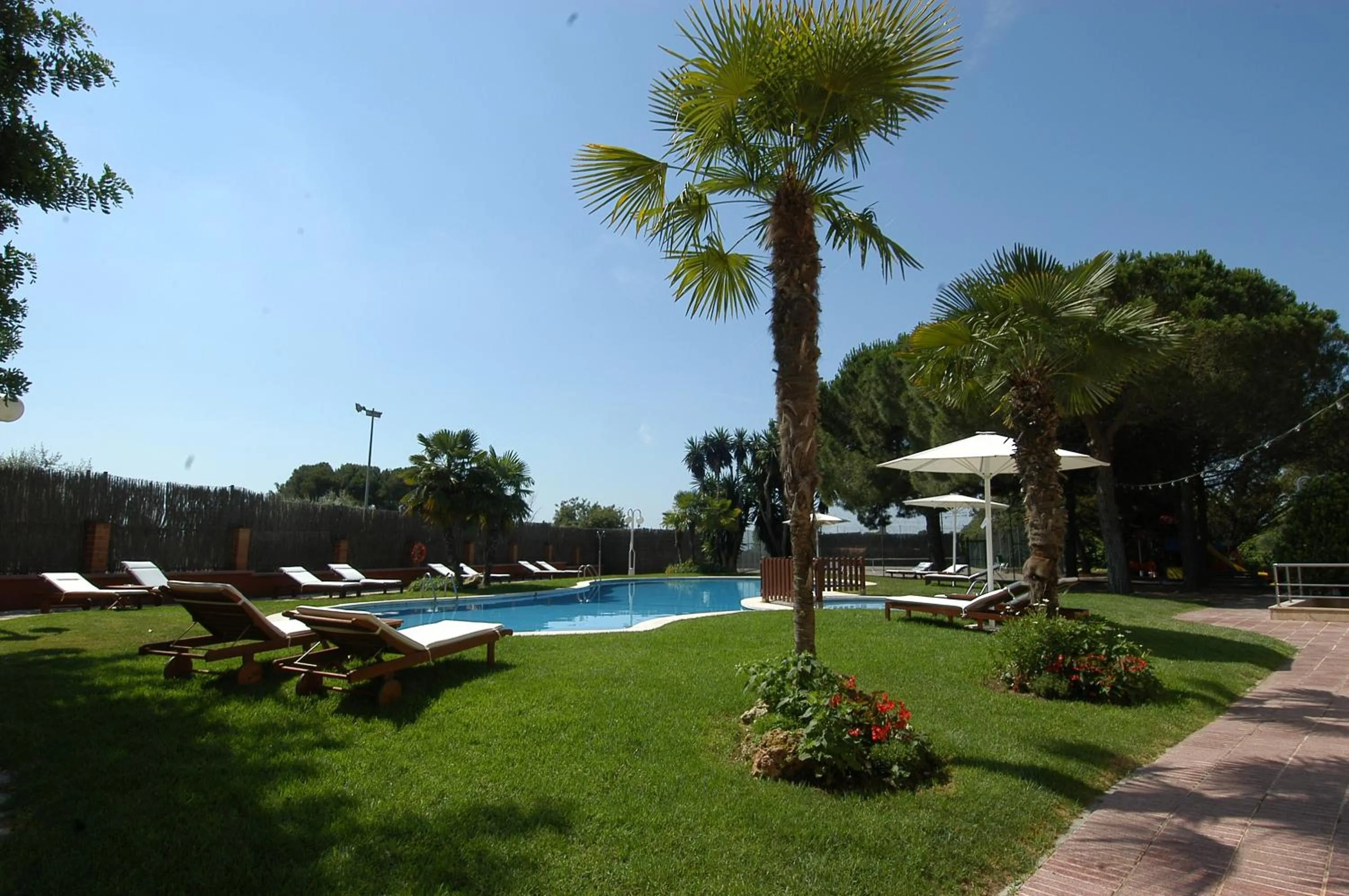 Pool view in Felix Hotel