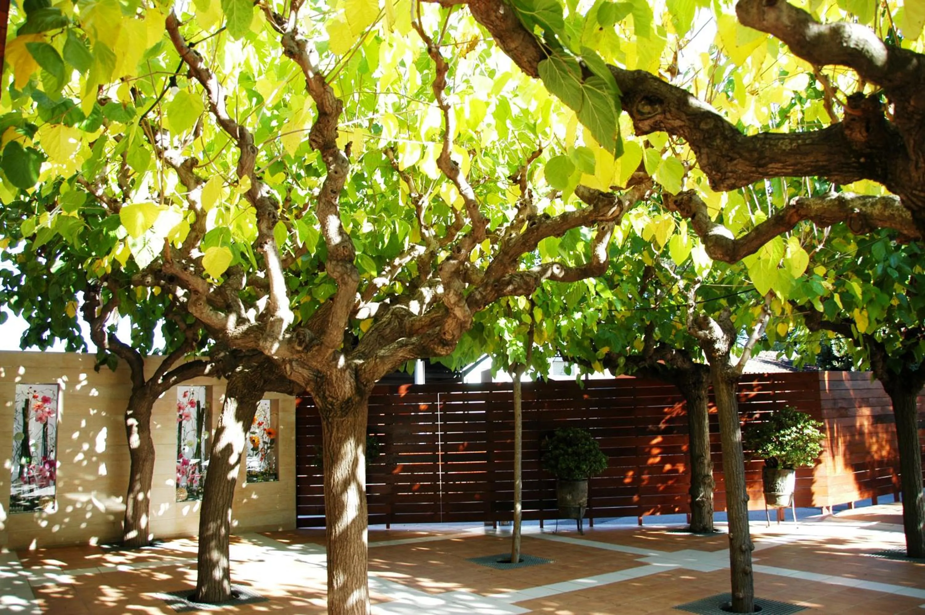 Patio in Felix Hotel