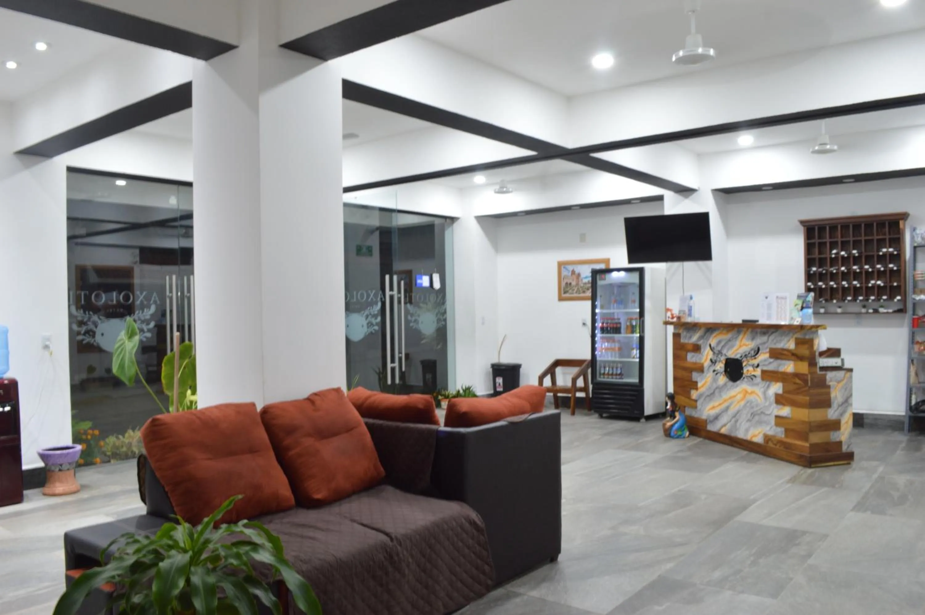 Lobby or reception in Hotel Axolotl