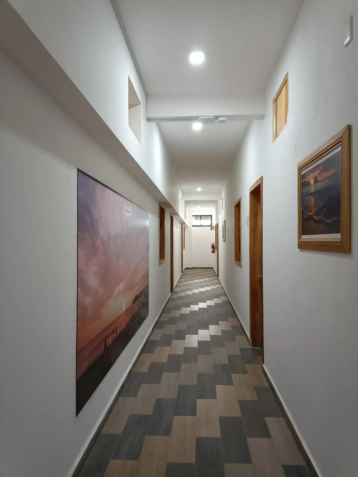 Property building in Hotel Axolotl