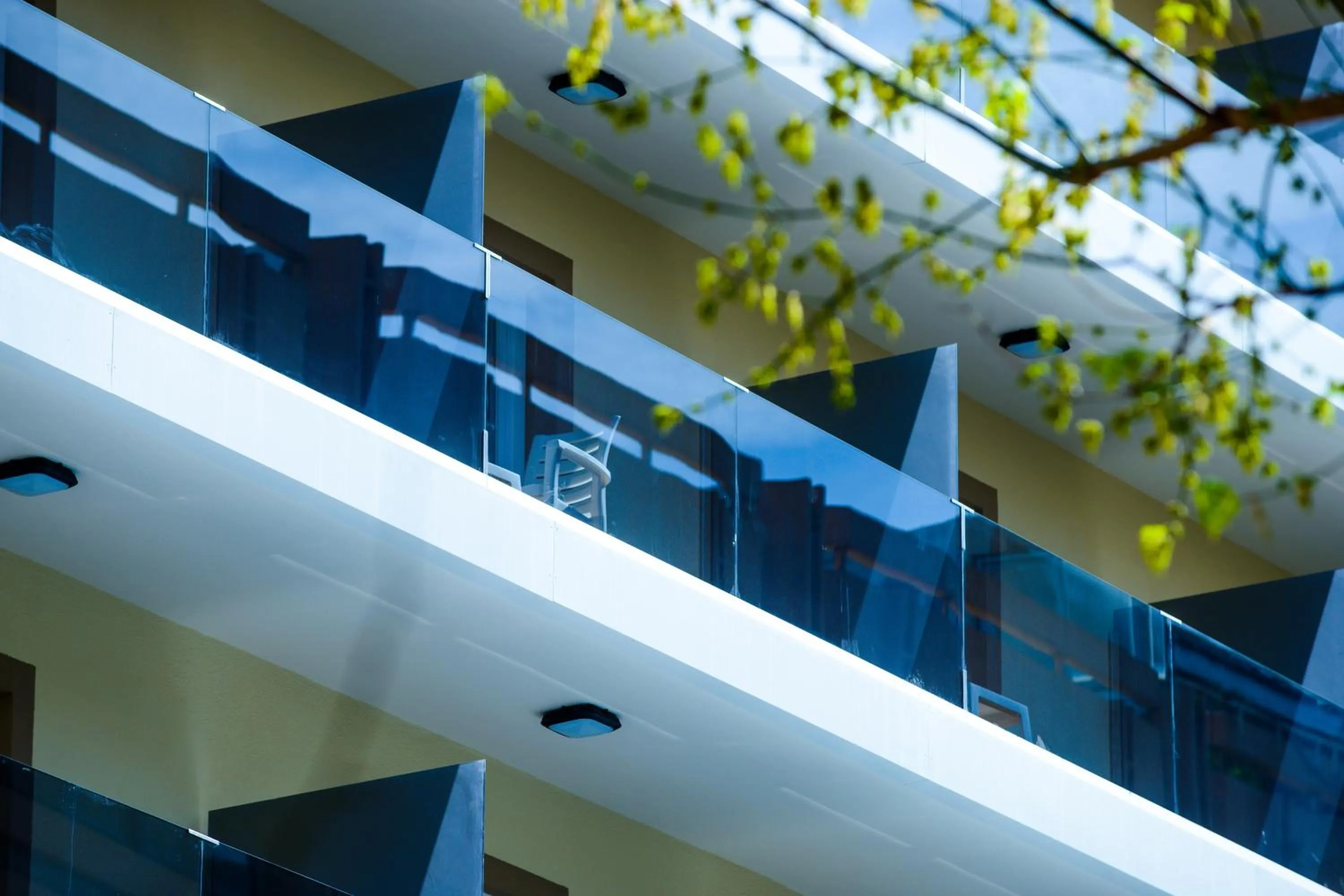 Balcony/Terrace in Hotel Monarque El Rodeo
