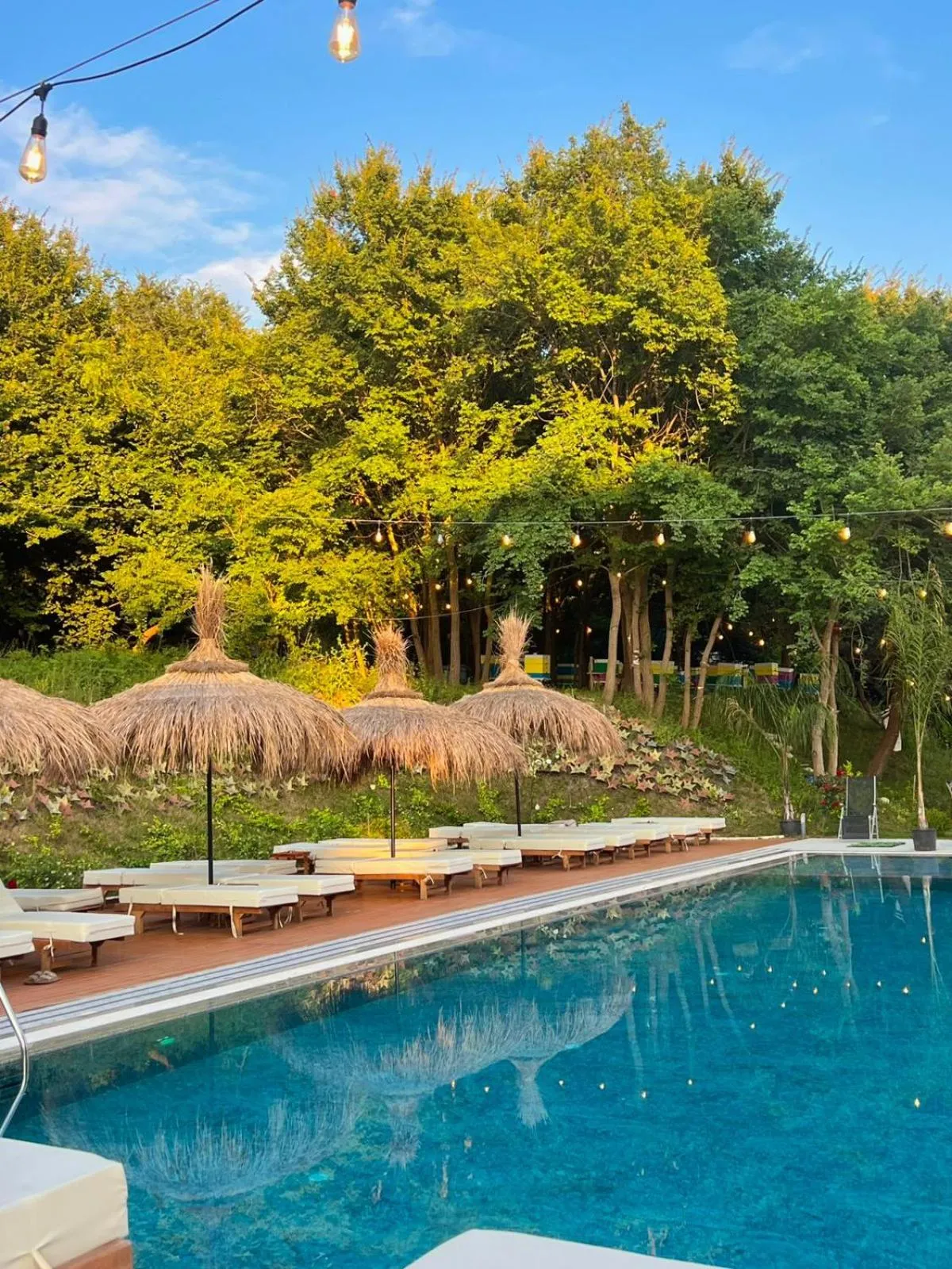 Swimming pool in Padel Olivia's Hill Resort