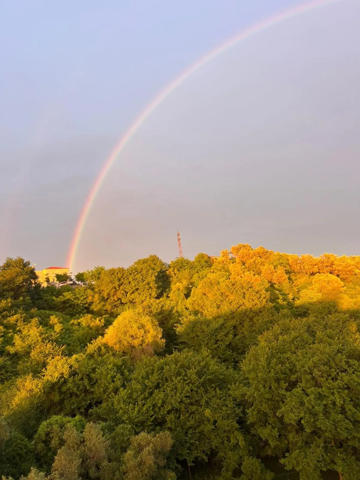 View (from property/room) in Padel Olivia's Hill Resort