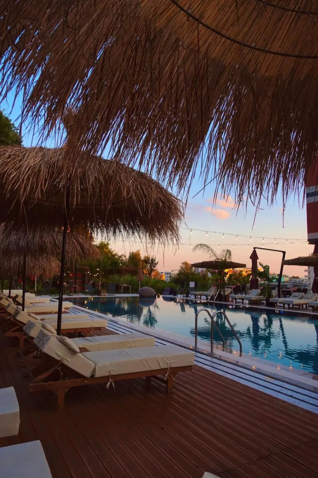 Pool view in Olivia's Hill Resort Pool view in Olivia's Hill Resort